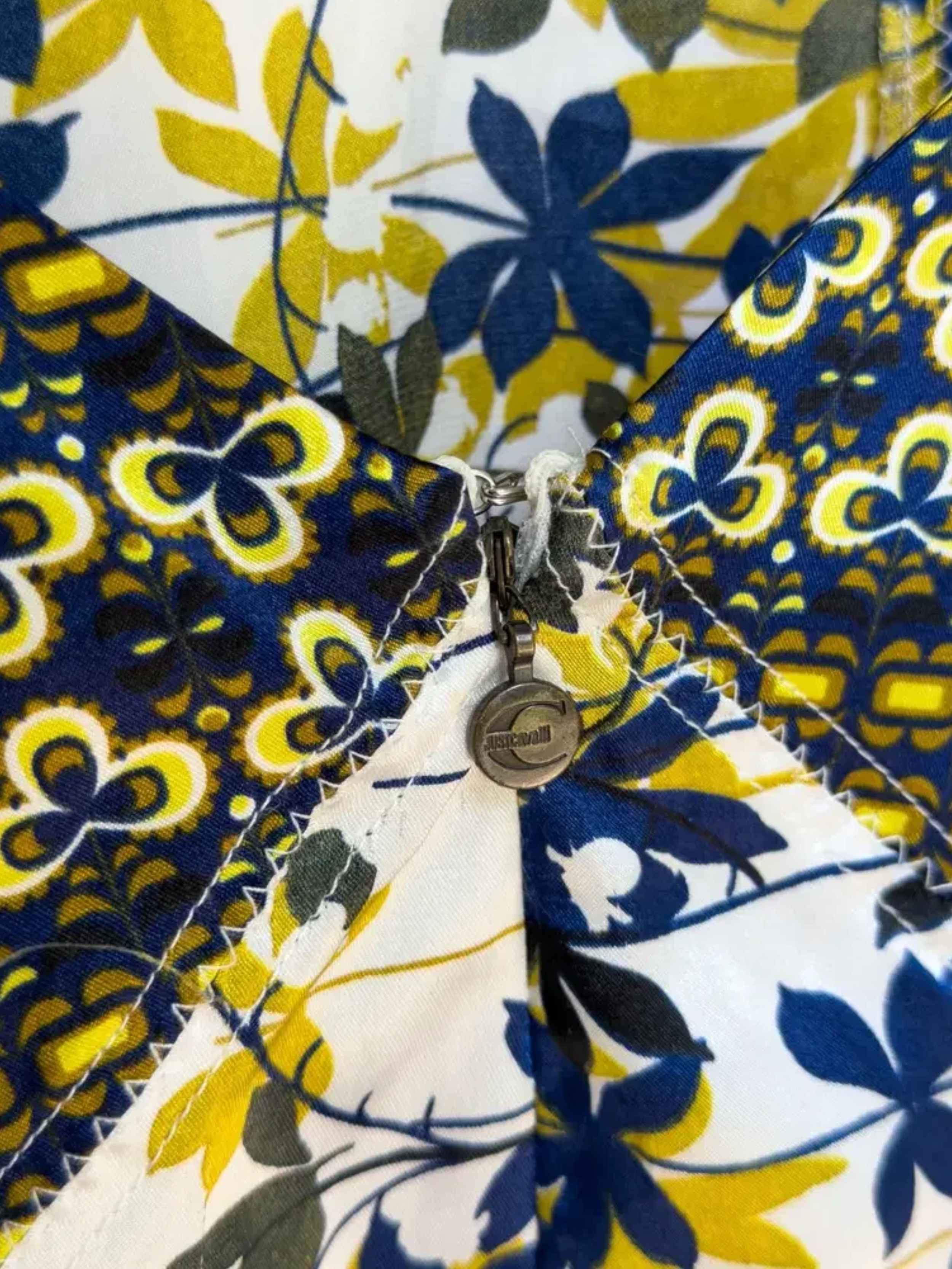cavalli closeup.png
