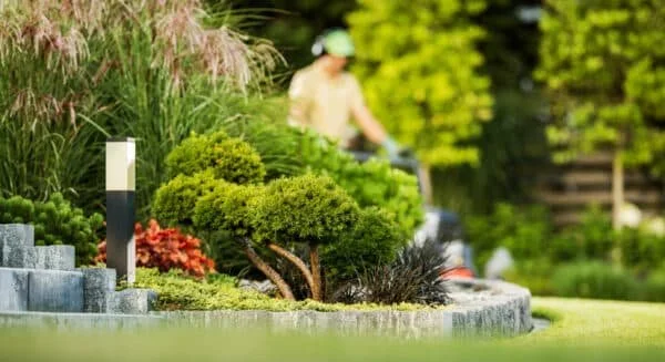 Person mowing a lush green lawn in a well-maintained garden with various plants and shrubs.