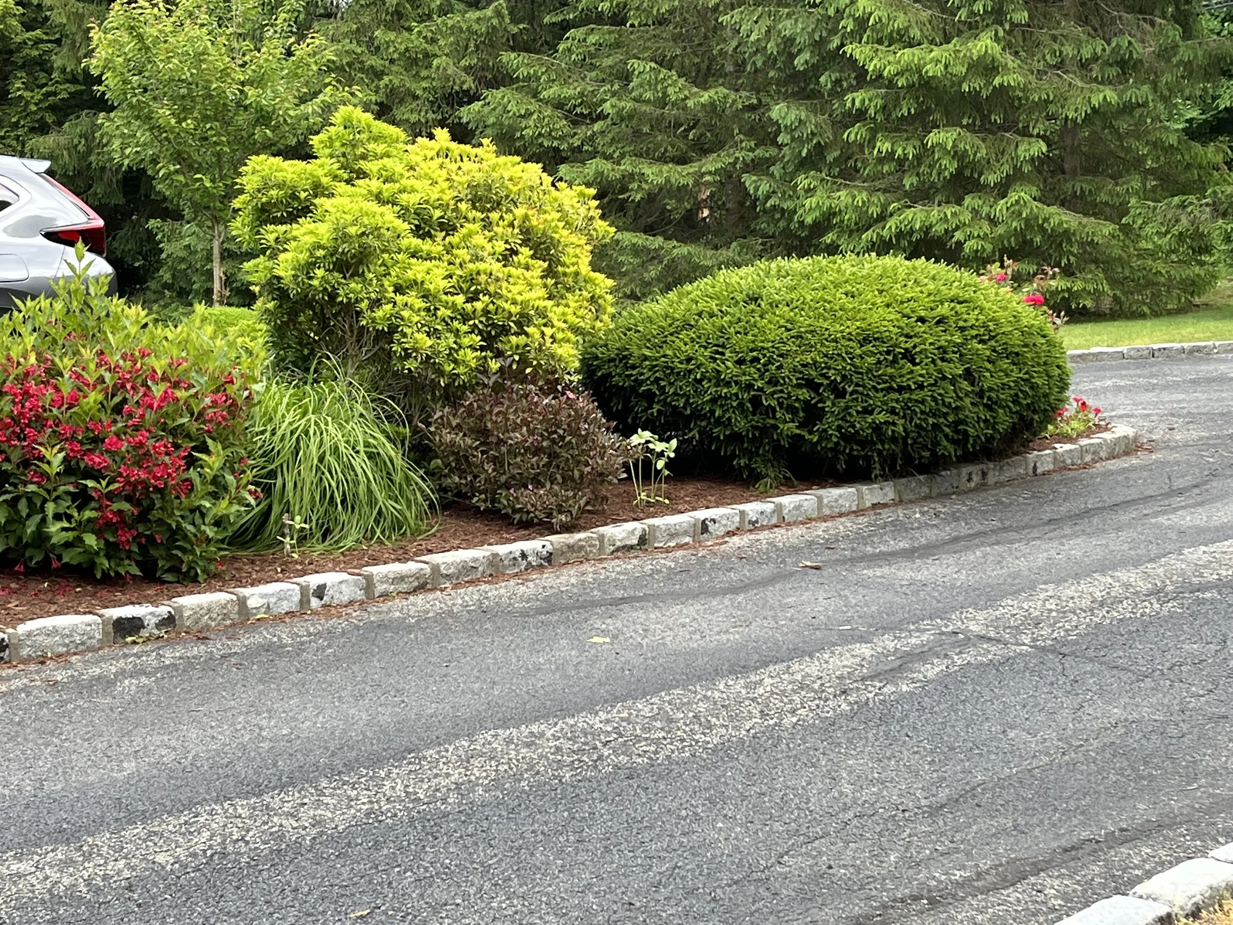 A landscaped parking lot with a flower bed containing various green shrubs, bushes, and flowering plants, bordered by gray bricks, with a section of asphalt in the foreground and a parked car partially visible on the left.
