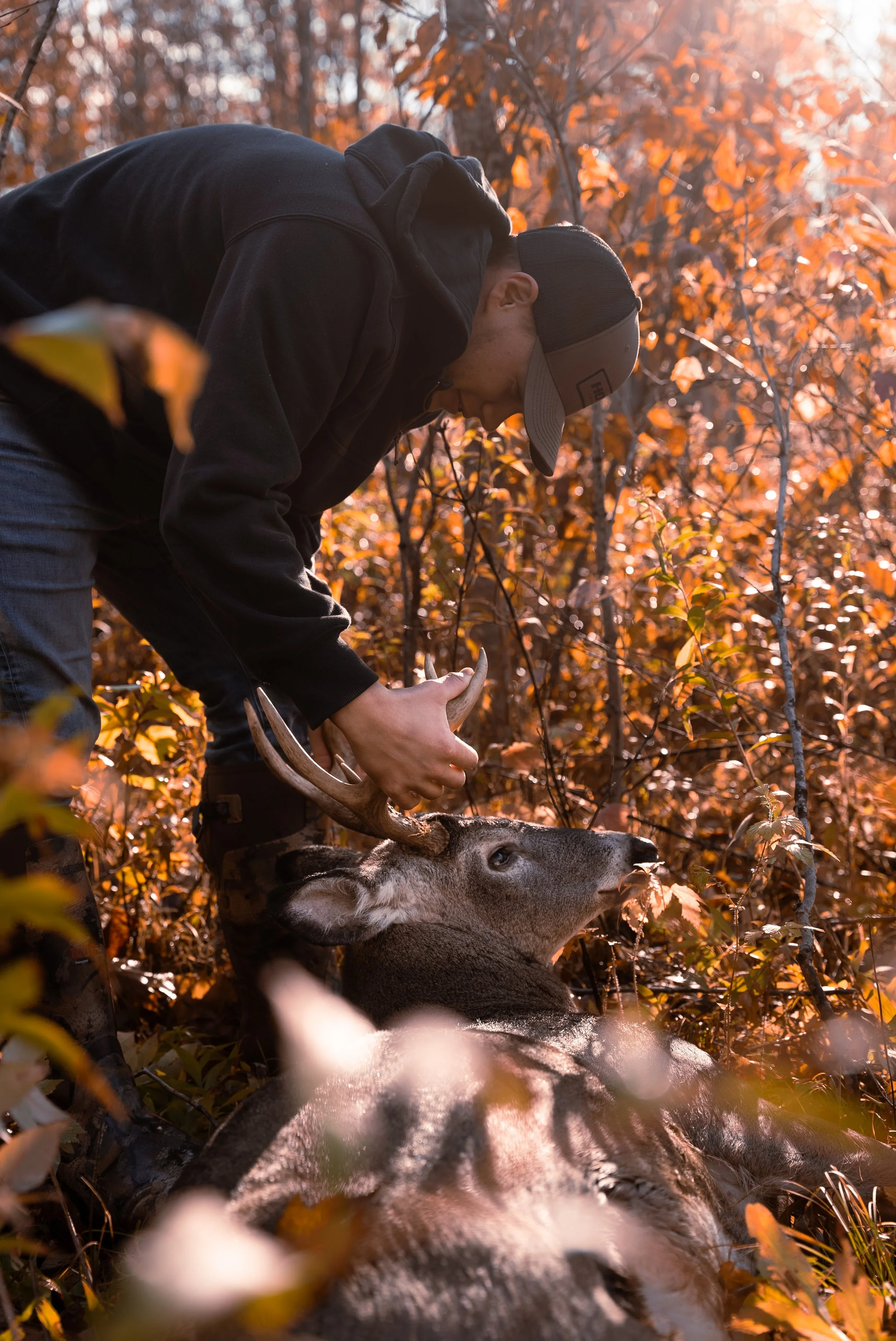 A person in a black hoodie and cap is butchering a dead deer in a forest with orange autumn leaves, sunlight filtering through the trees.