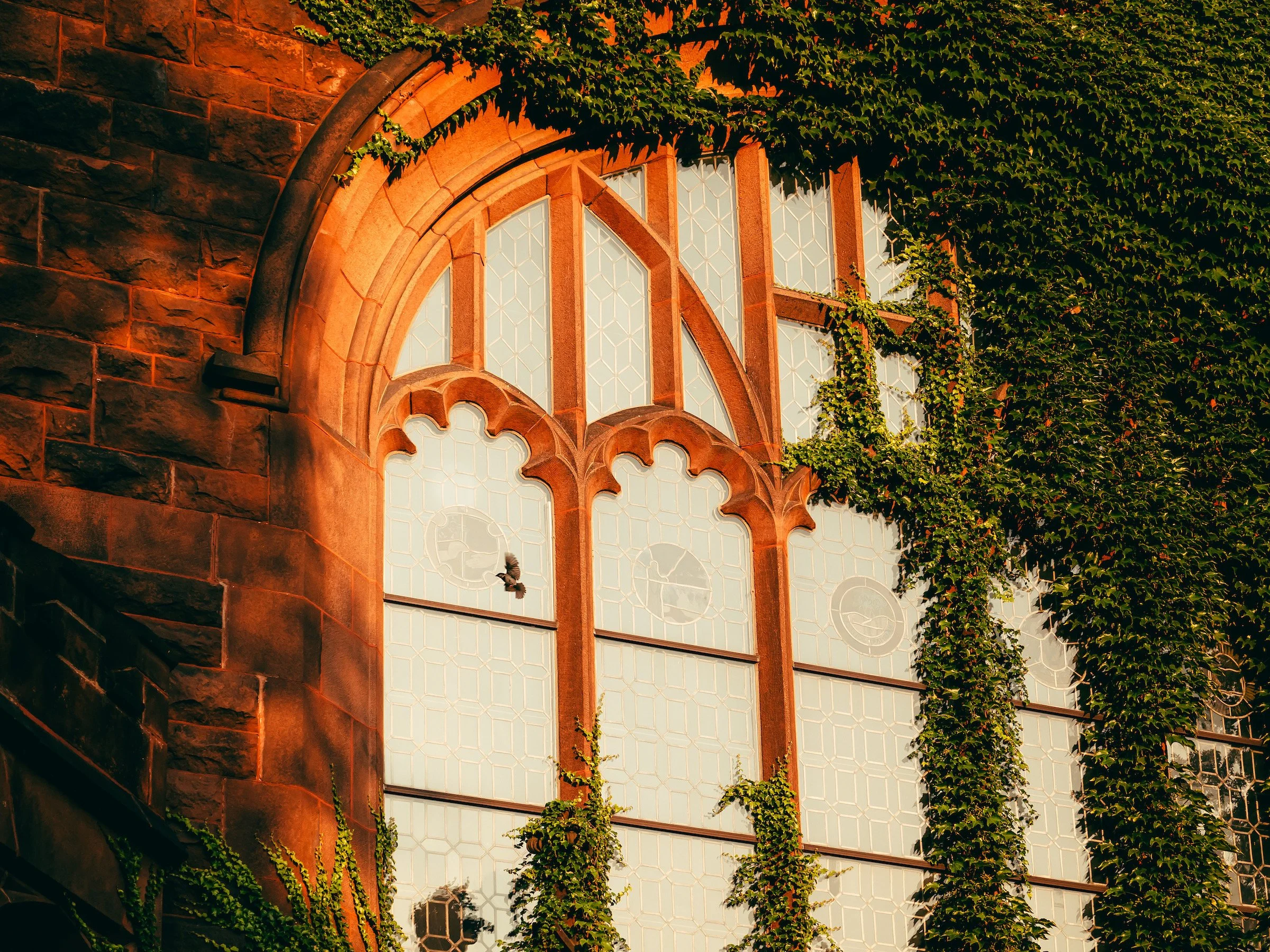 MHC-8-1-24-Campus Beauty Summer-185.jpeg