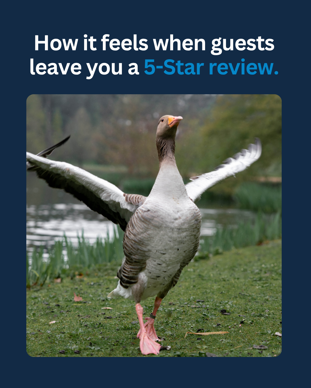 139.png