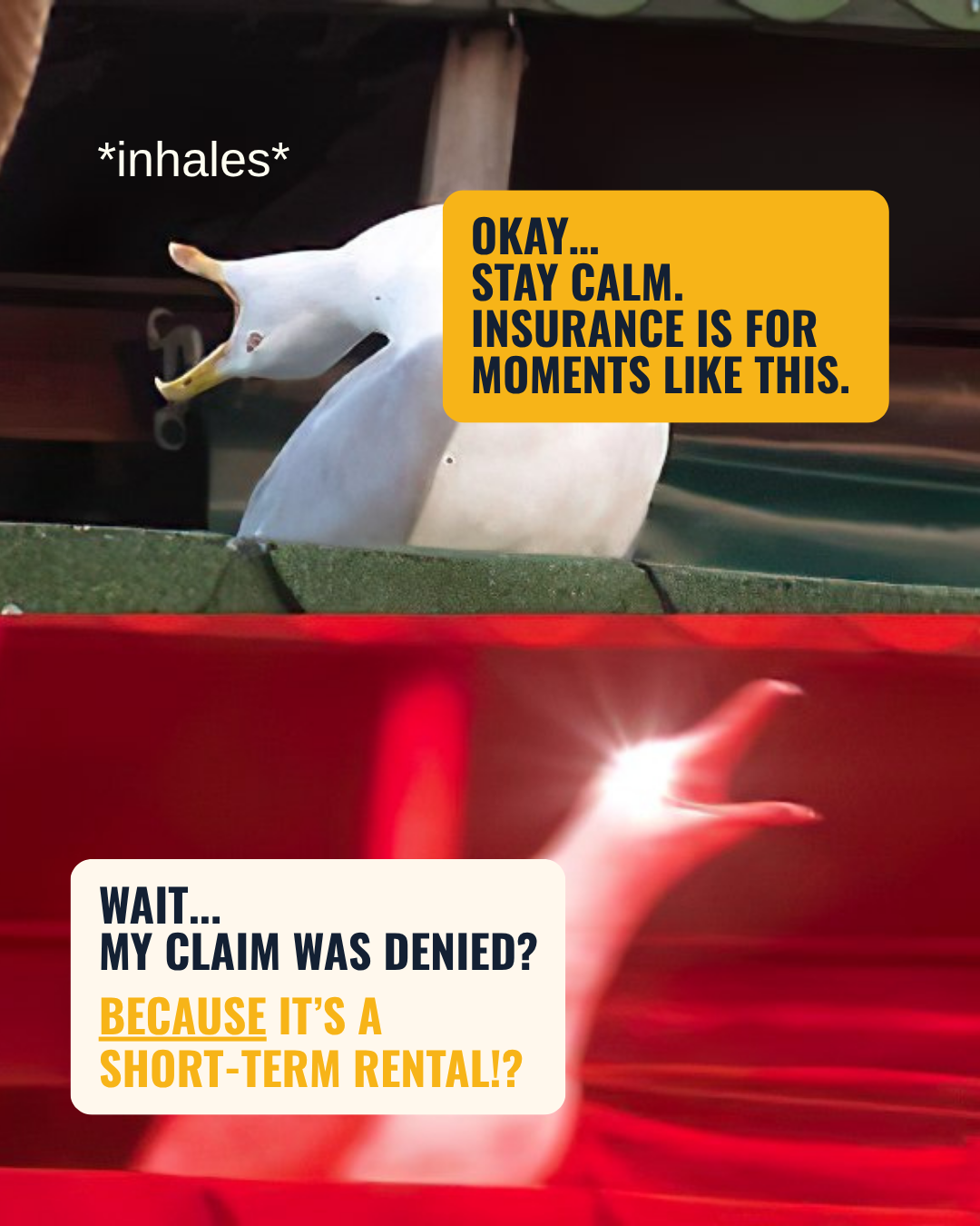 48.png