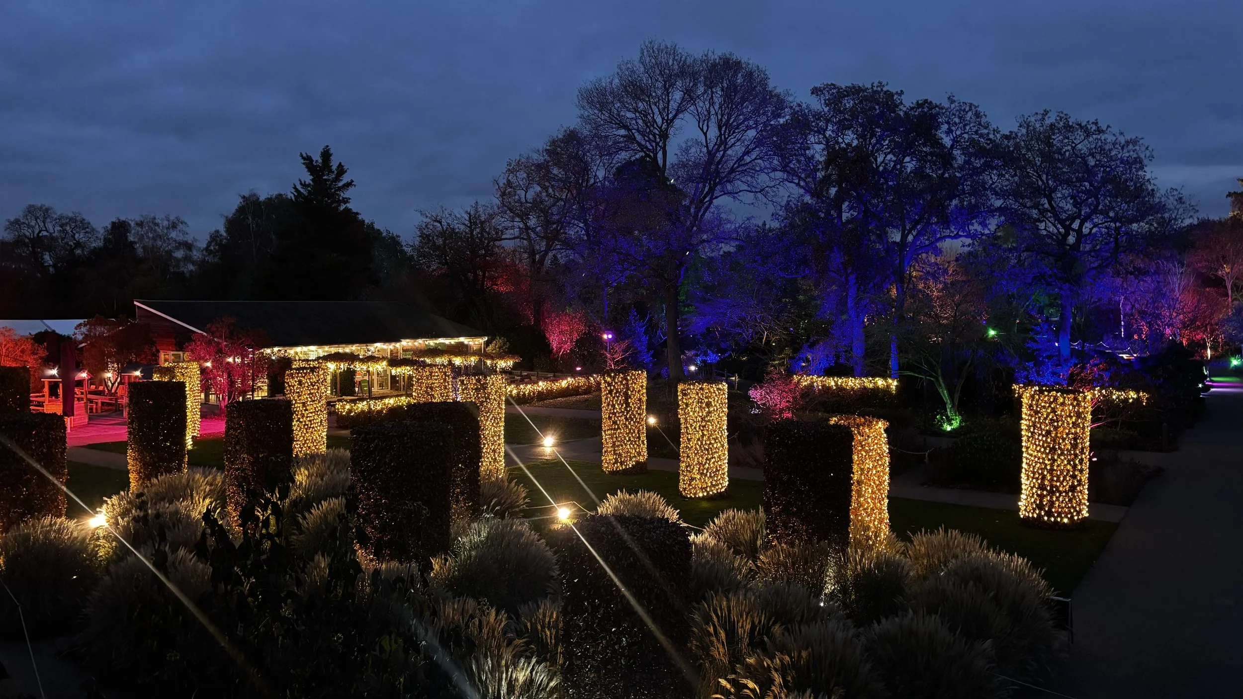 Wisley by night