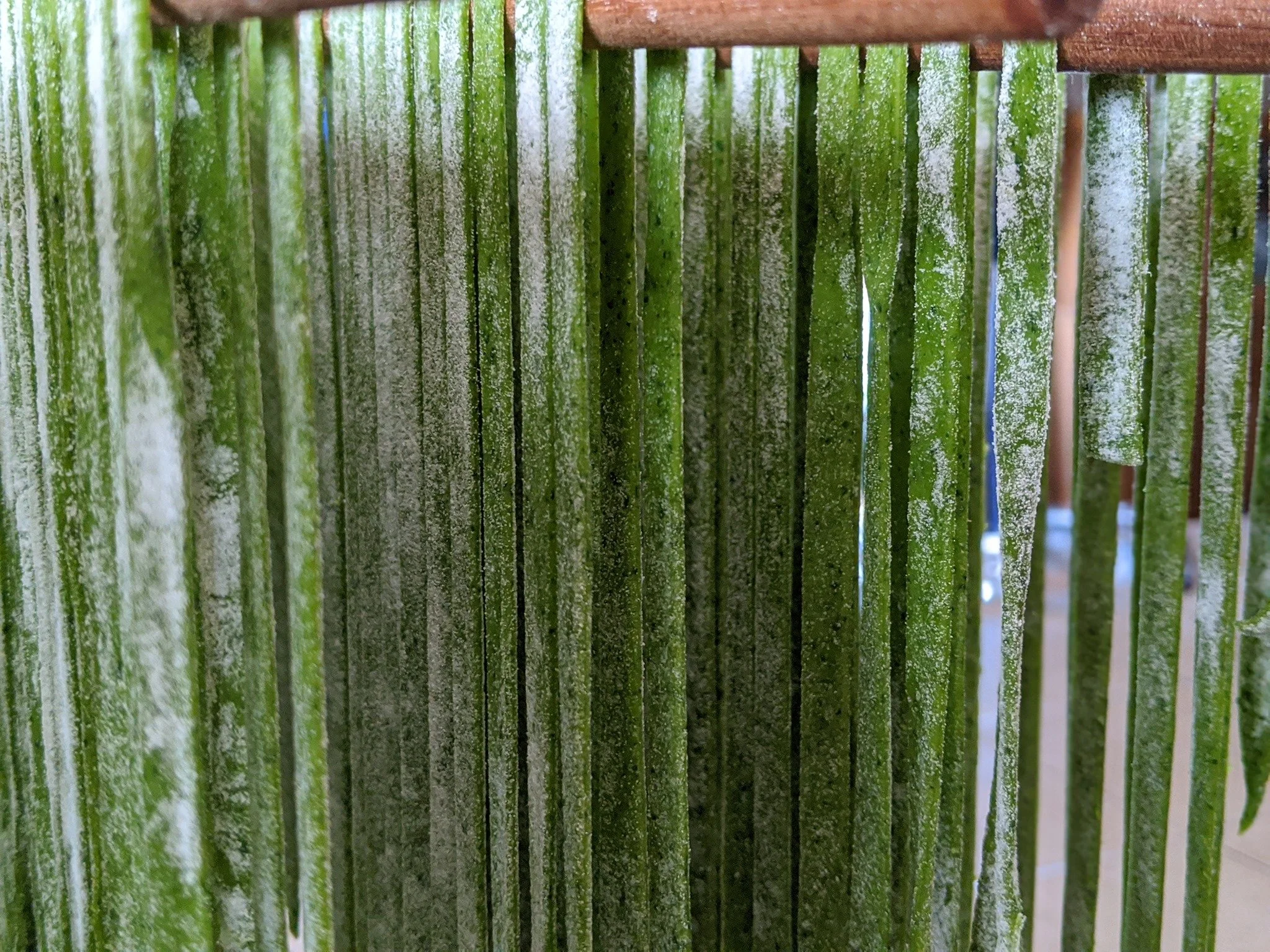 Spinach Fettuccine 16oz.
