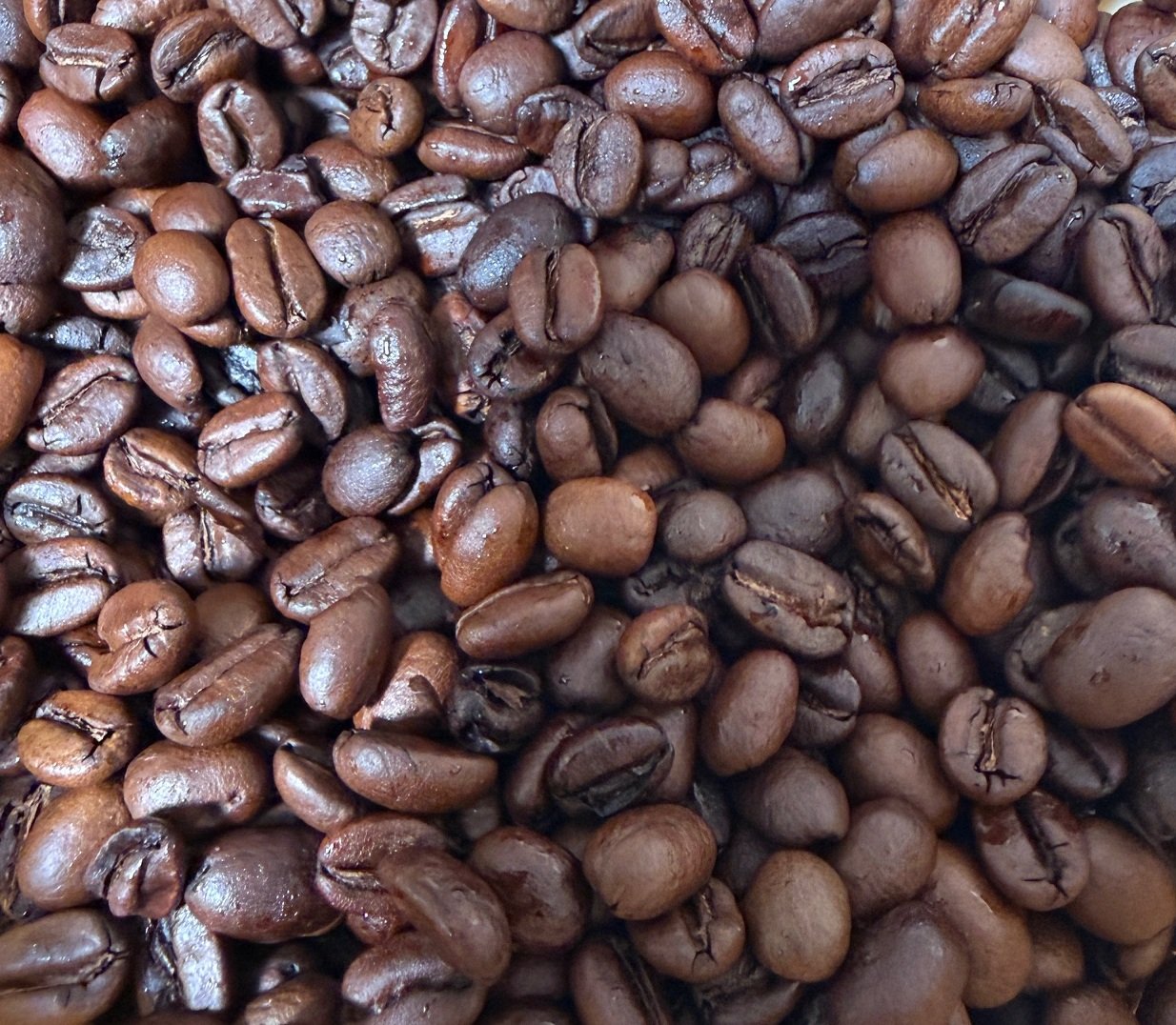 WushWush Cropped.jpg