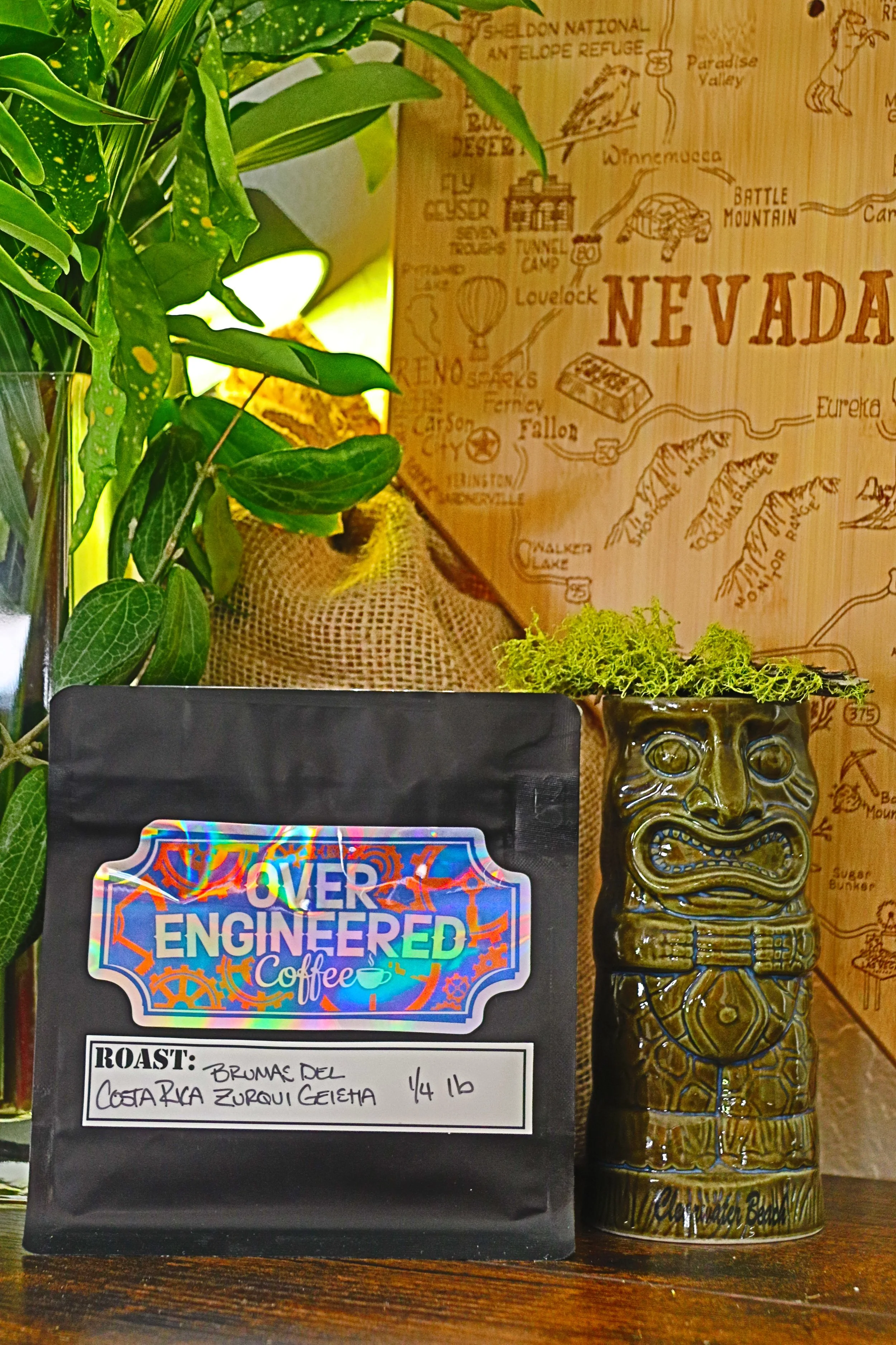 Costa Rica - Brumas del Zurqui Geisha [Light Roast] (1/2lb)