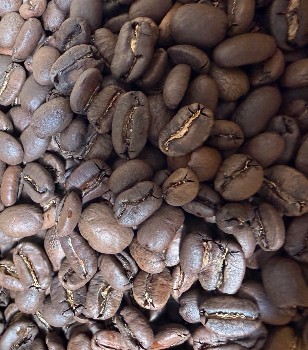 Kopi Luwak Cropped.jpg