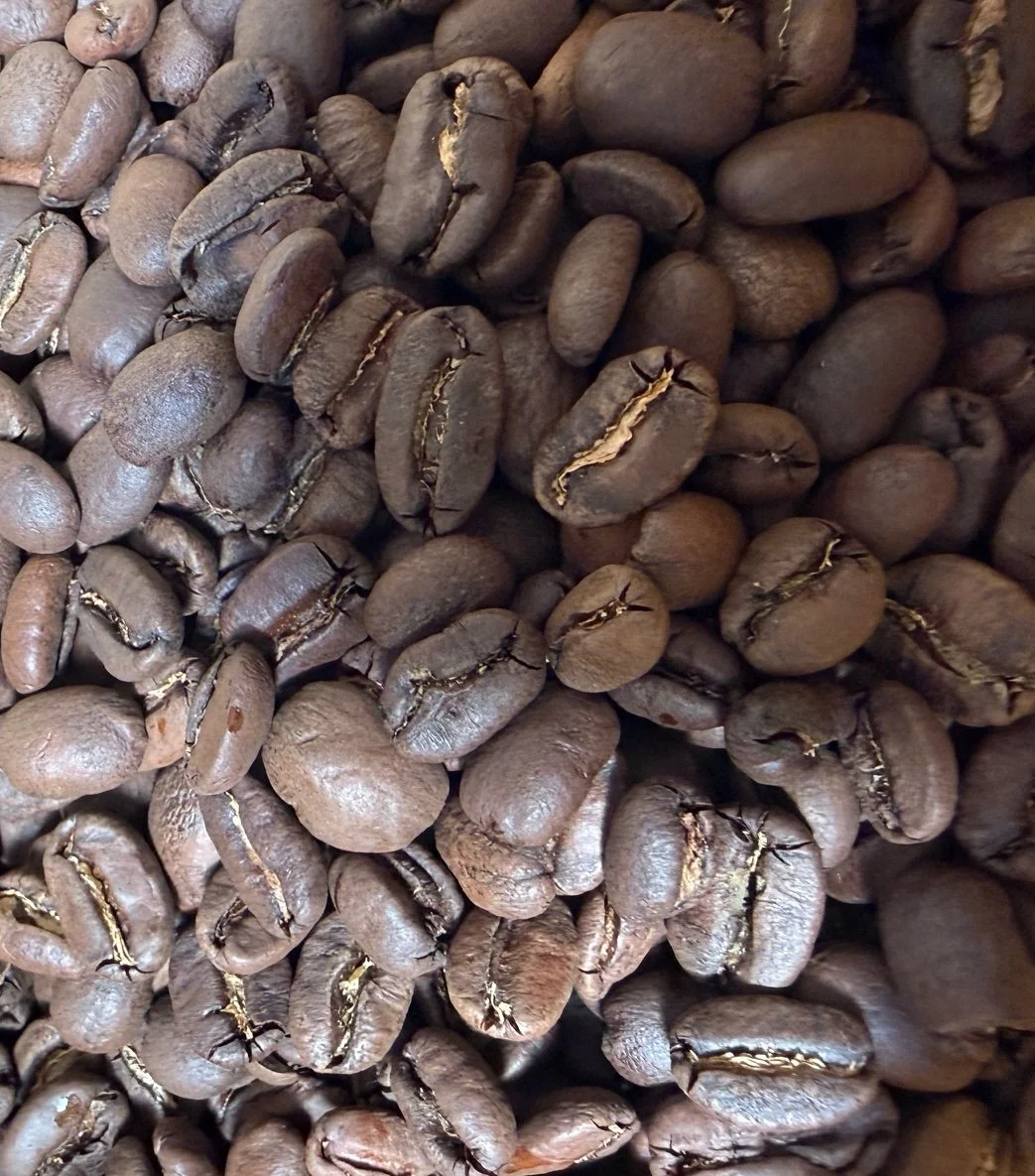 Kopi Luwak Cropped.jpg