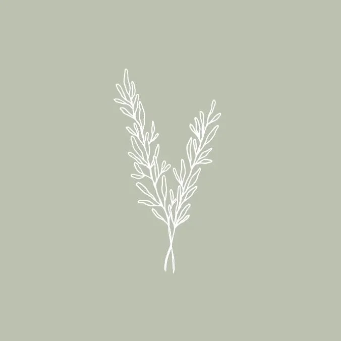 White line drawing of a sprig of leaves on a light green background.