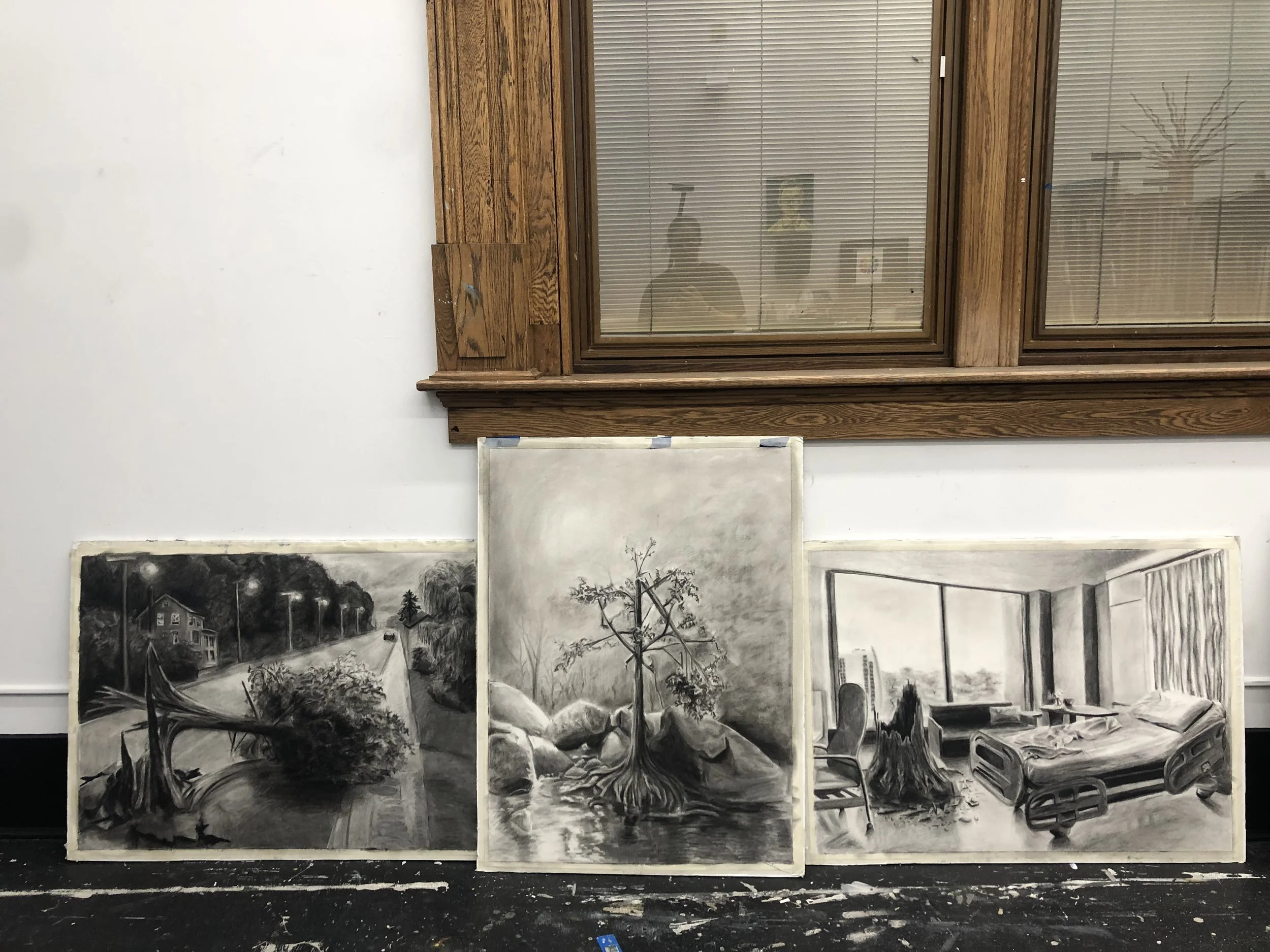 Meditation: Wreckage, Regrowth, Decay