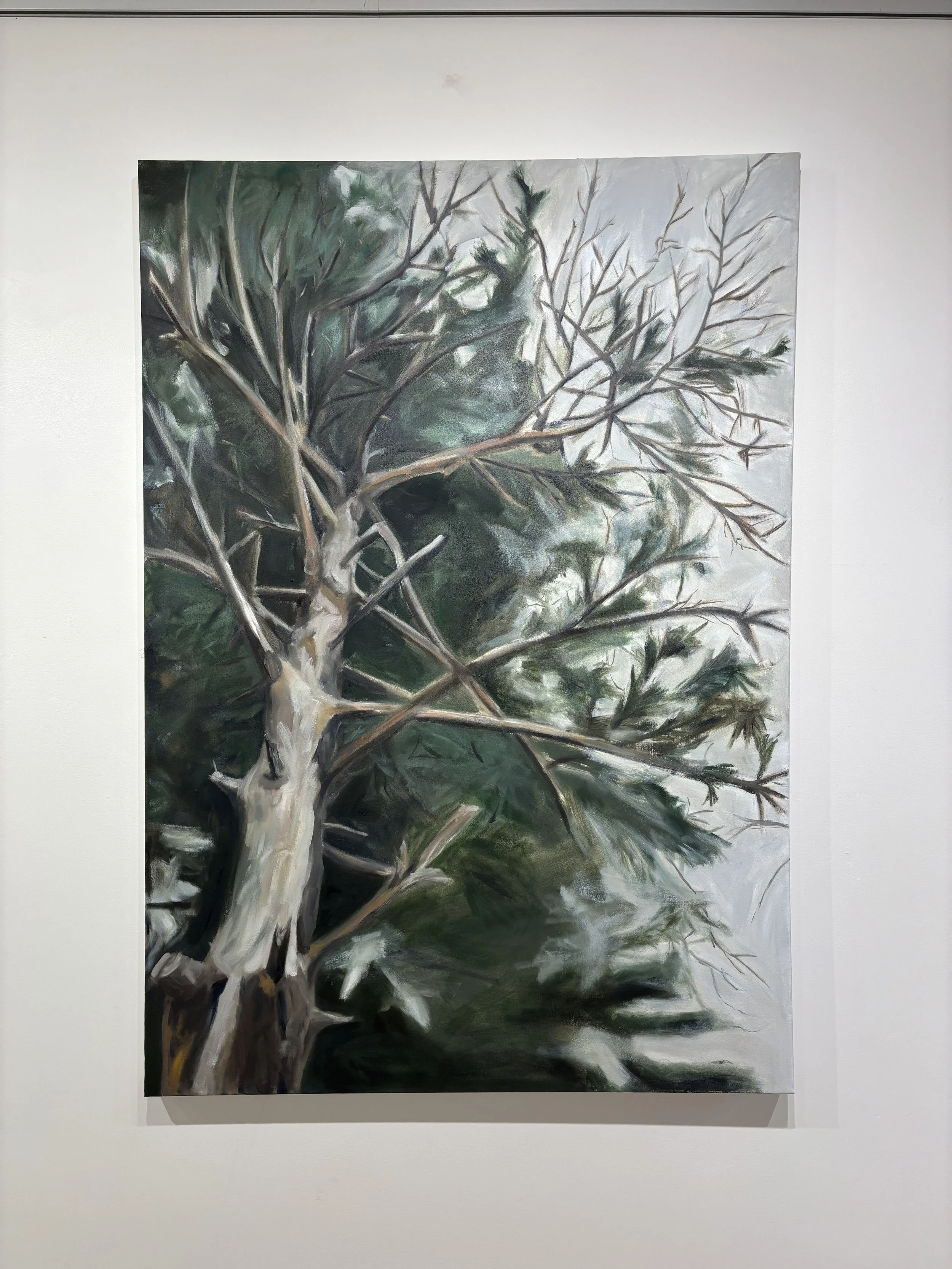 Contrast of the Dead and Living