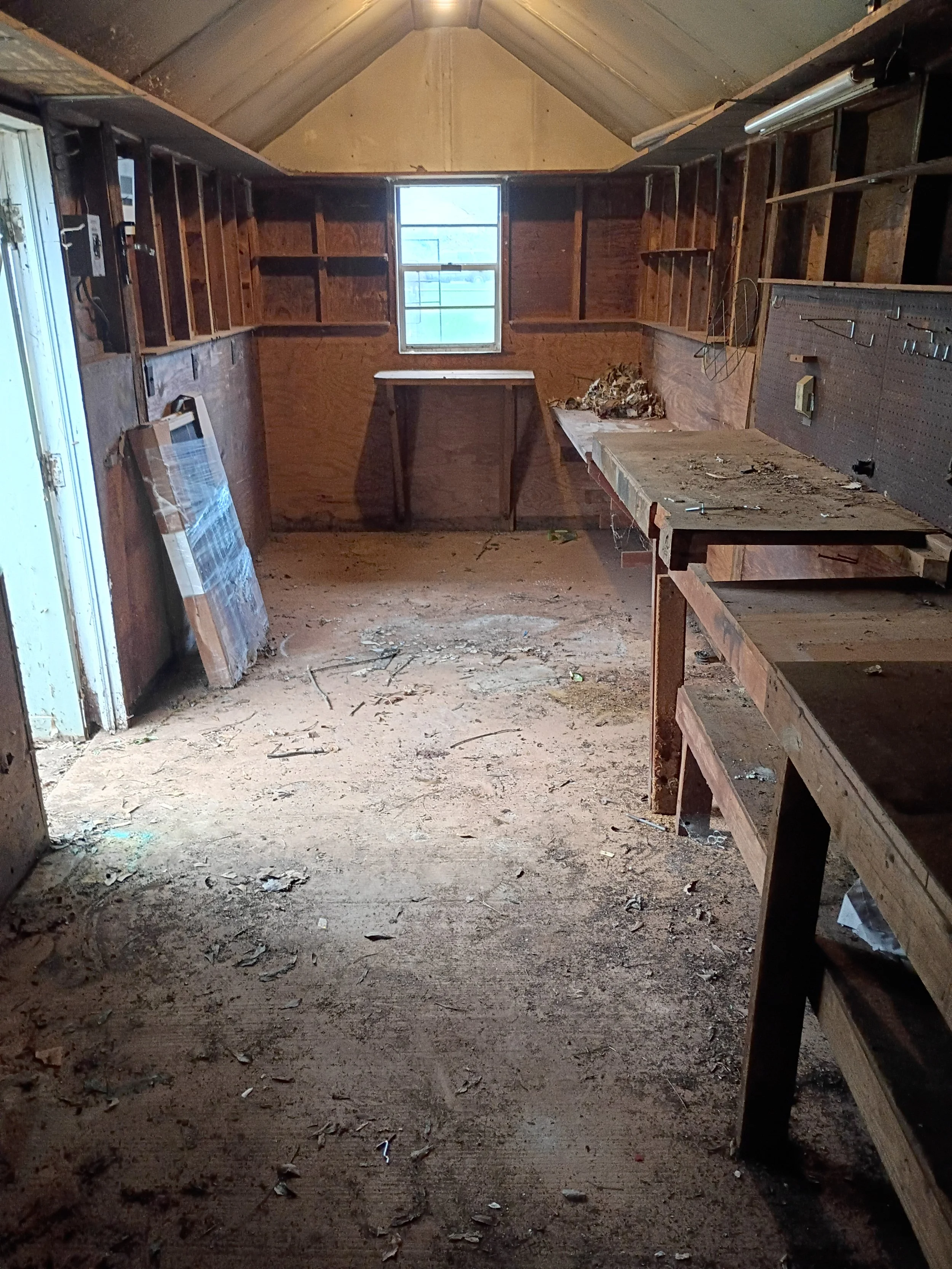 Empty and dusty garage or workshop with unfinished wooden shelves and workbenches, a small window, and a pegboard wall with tools after Hallelujah Hauling cleaned it.
