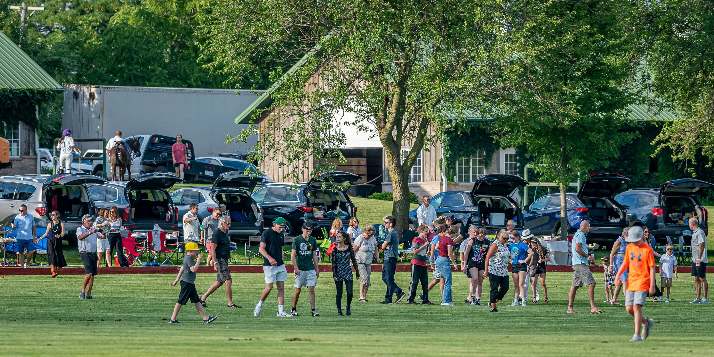 More Divot Stop at Arranmore