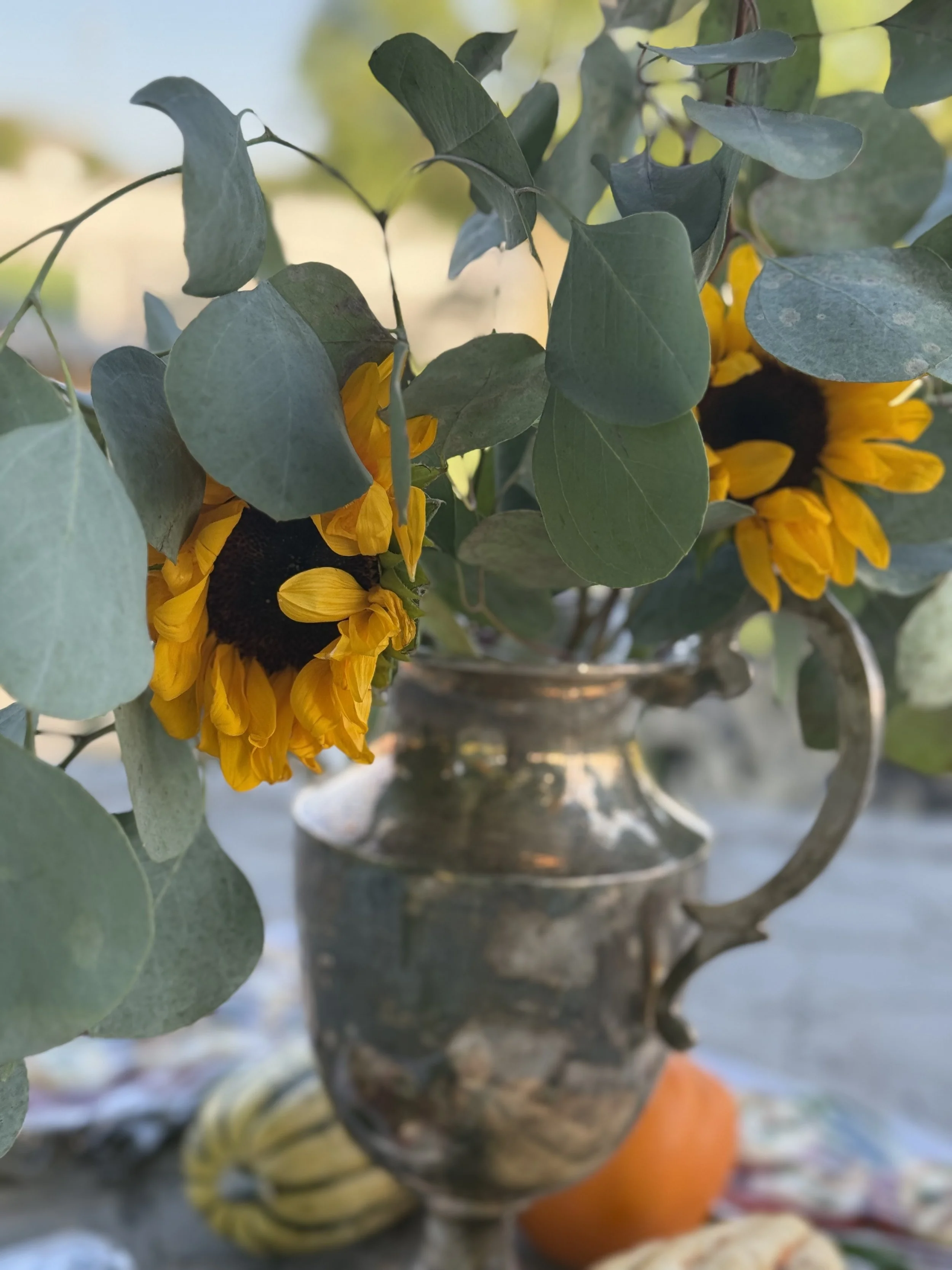 Sunflower at Argentine Asado