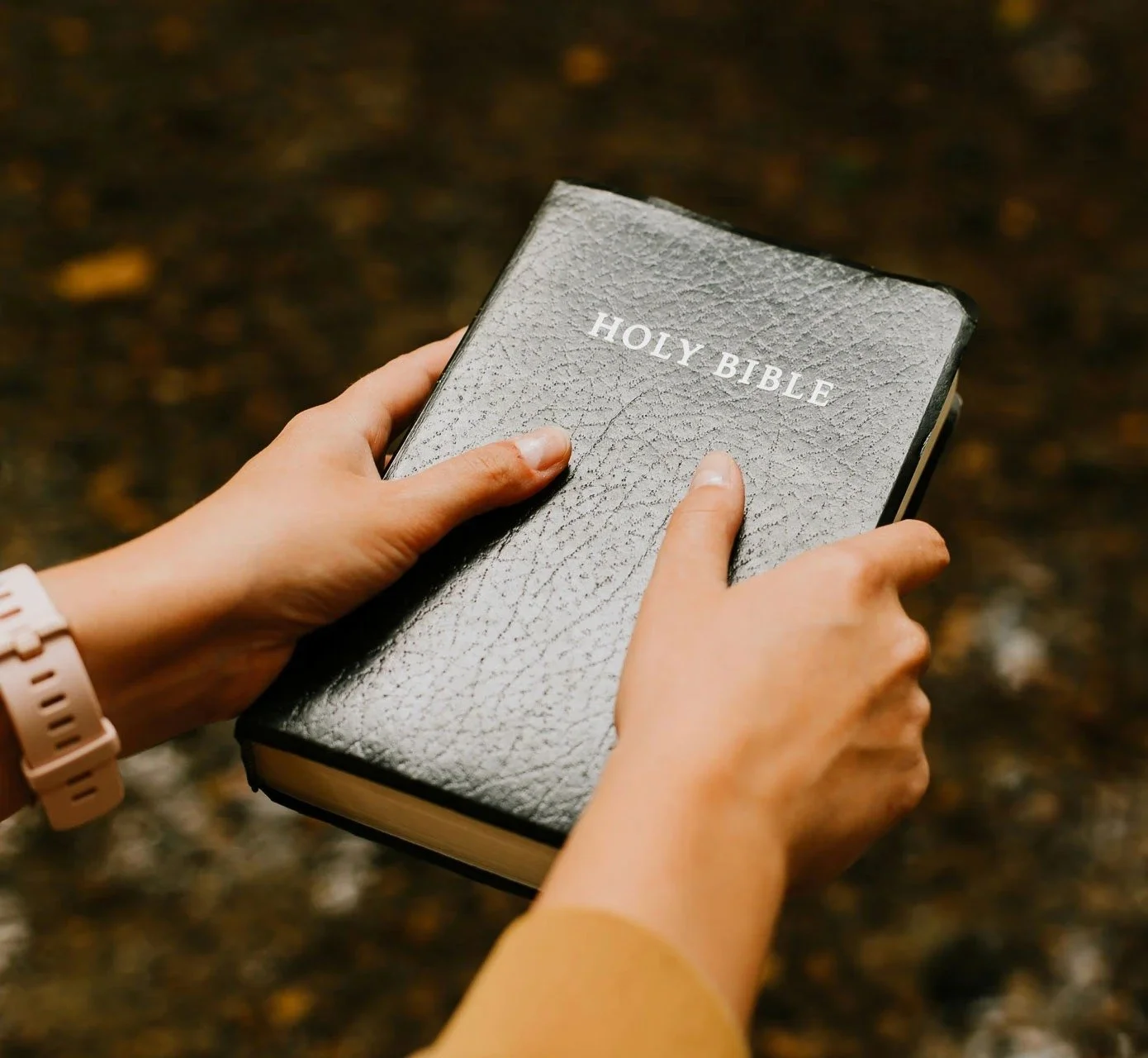 Person holding a Bible — new to faith resources at Pearl Street Church San Antonio