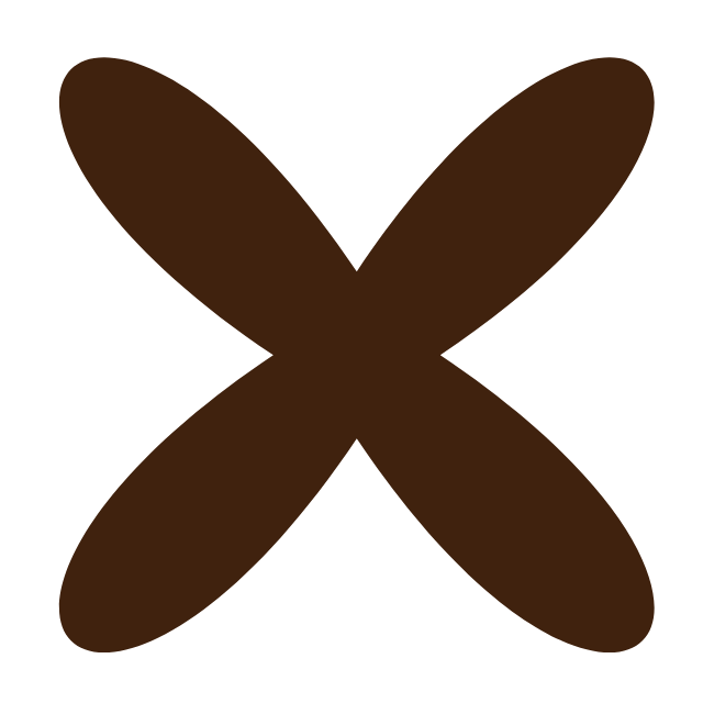A large brown letter X on a black background.