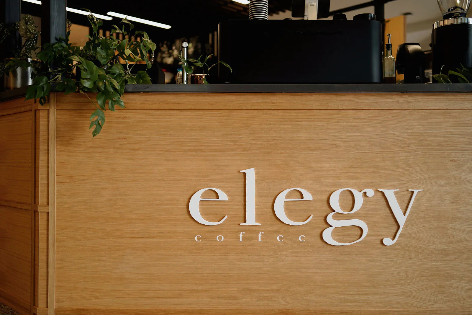 46ecab42ceb2e620f79a7a423f642259-xxlarge.webp