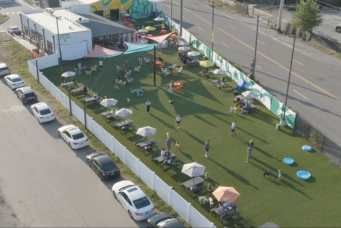 Urban Dog Bar