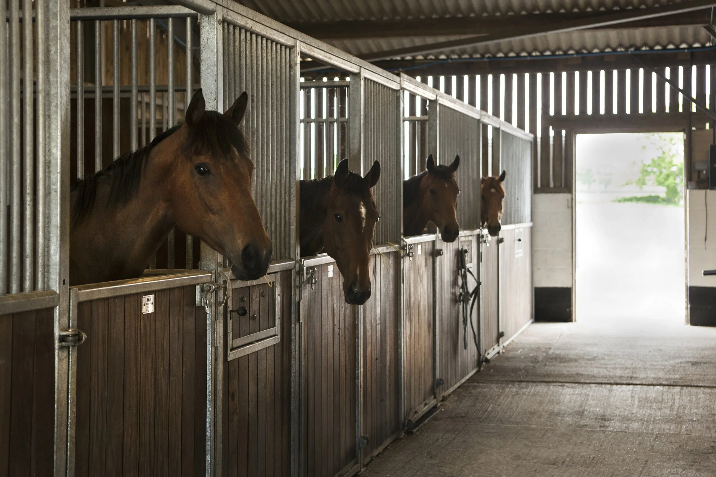 Stabling