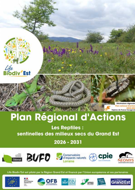 PRA Reptiles Grand Est : un nouveau plan pour protéger les milieux thermophiles