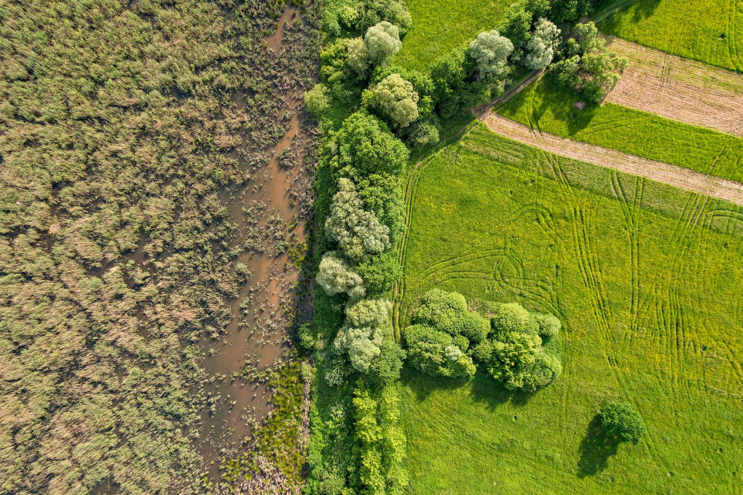 vue aérienne d'une zone naturelle avec des arbres verts, une zone de forêt plus sèche et une zone de champs agricoles en vert avec des chemins.