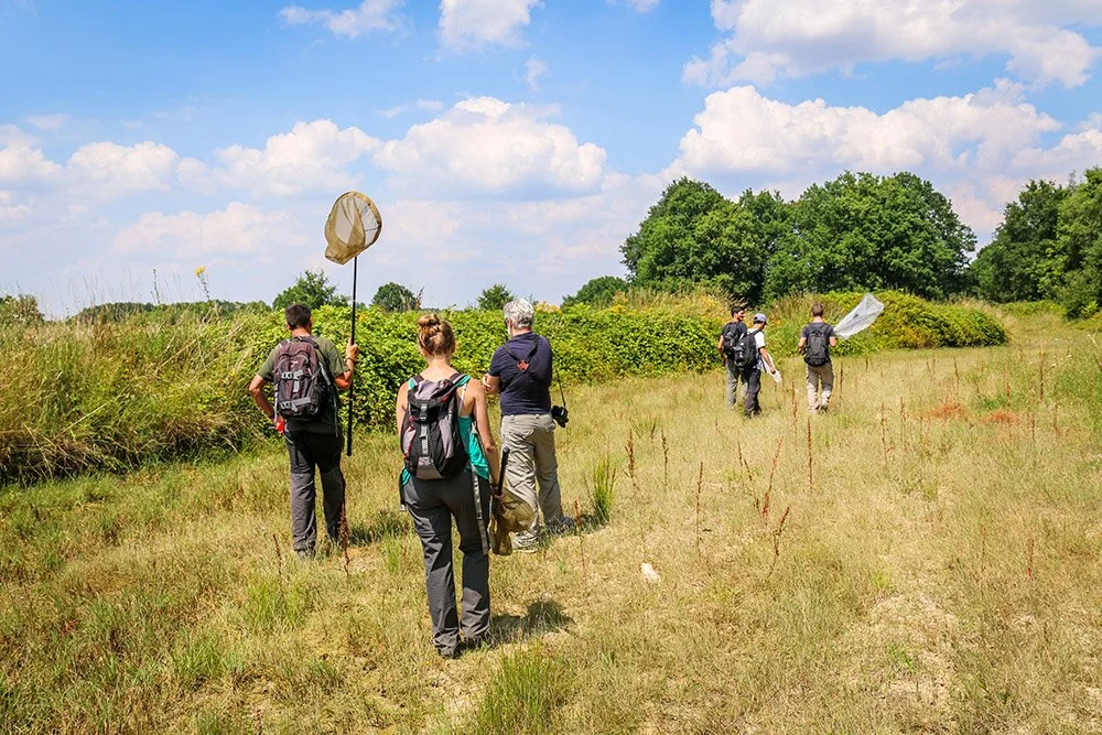 Groupe de six personnes marchant dans un champ avec des sacs à dos, certains utilisant des filets, par une journée ensoleillée avec des nuages.