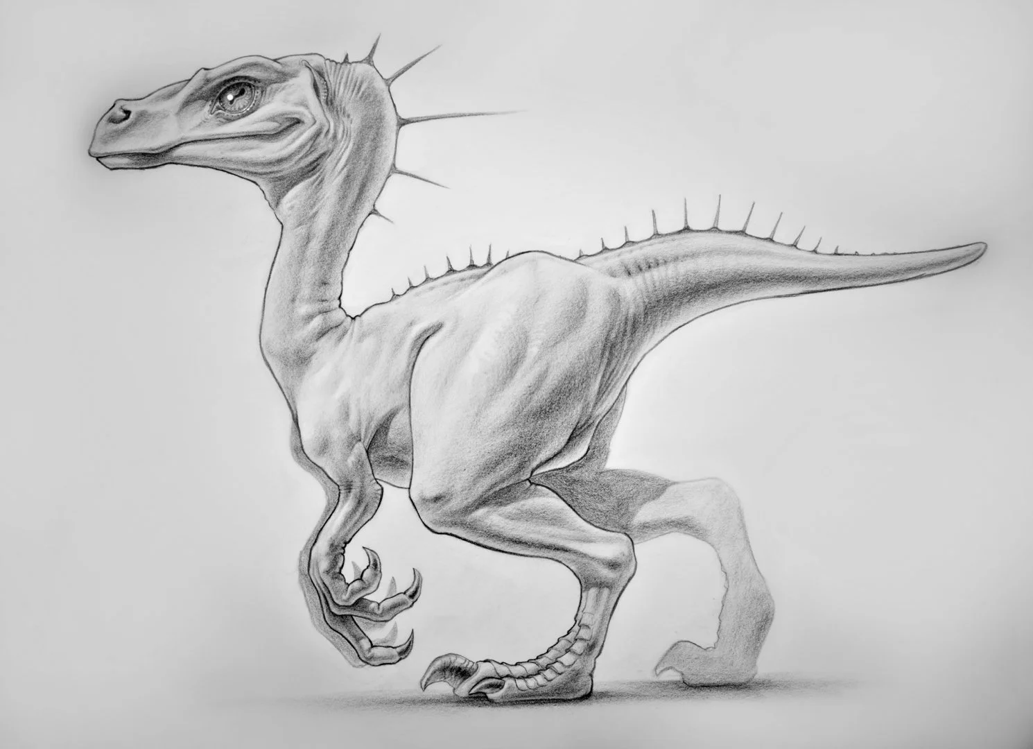 Dino 1.jpg