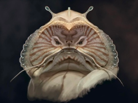 Cohort Masterclass- Creature Bust Design
