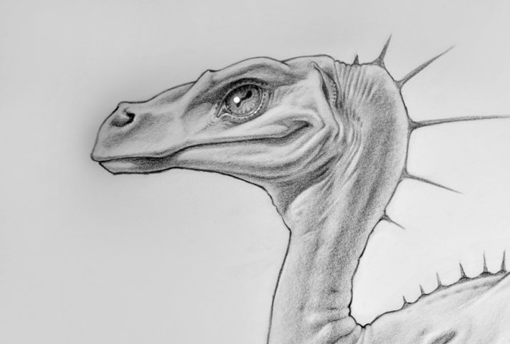 Cohort Masterclass- Creature design is not a Recipe