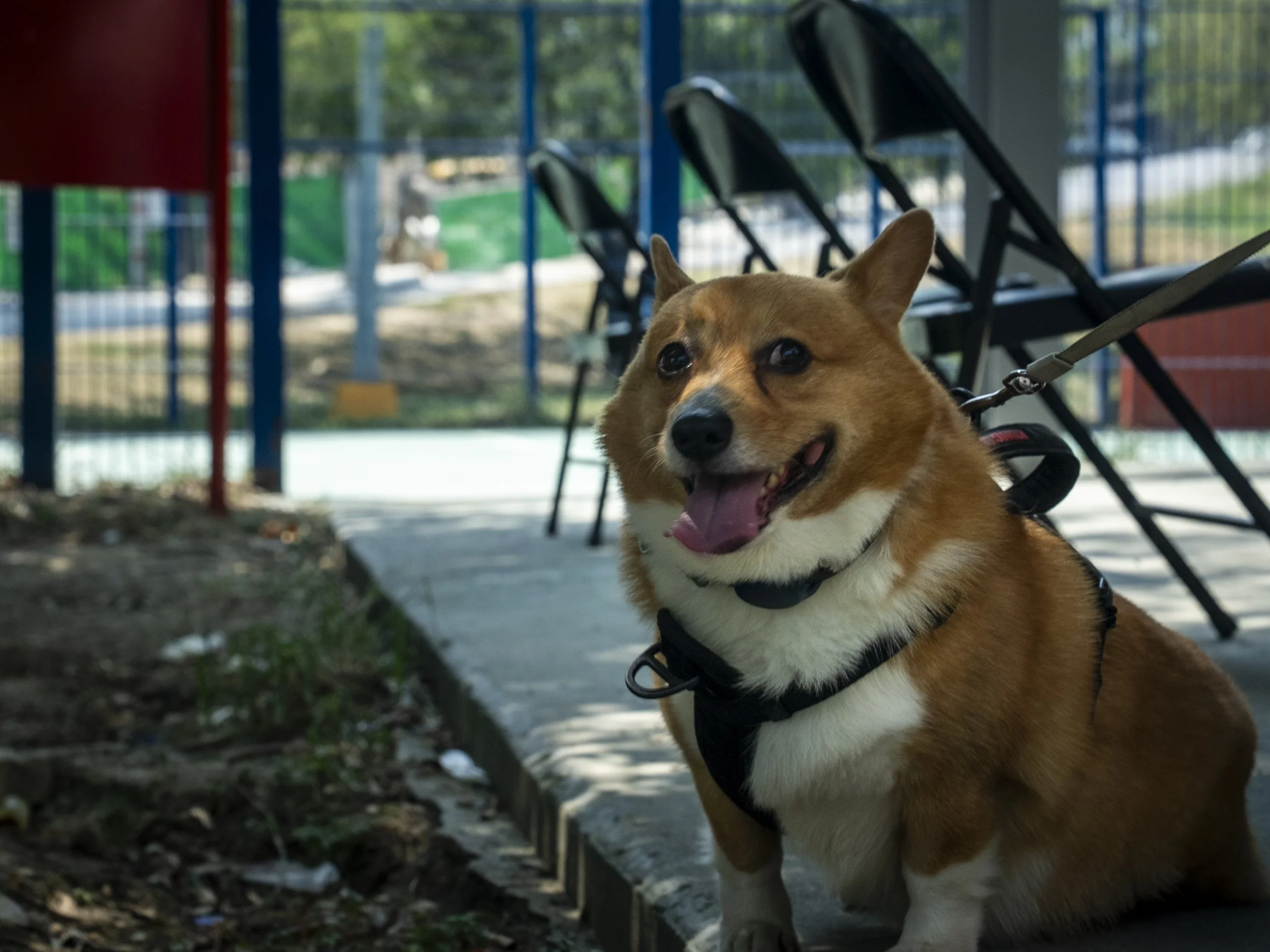 DSC05083.JPG