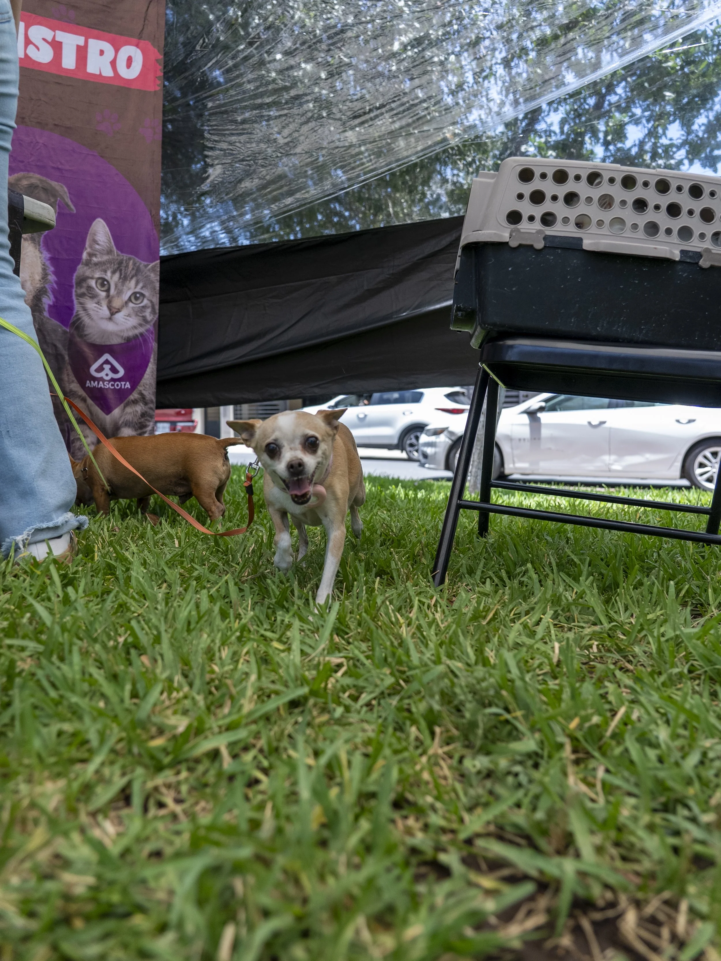 DSC06878.JPG