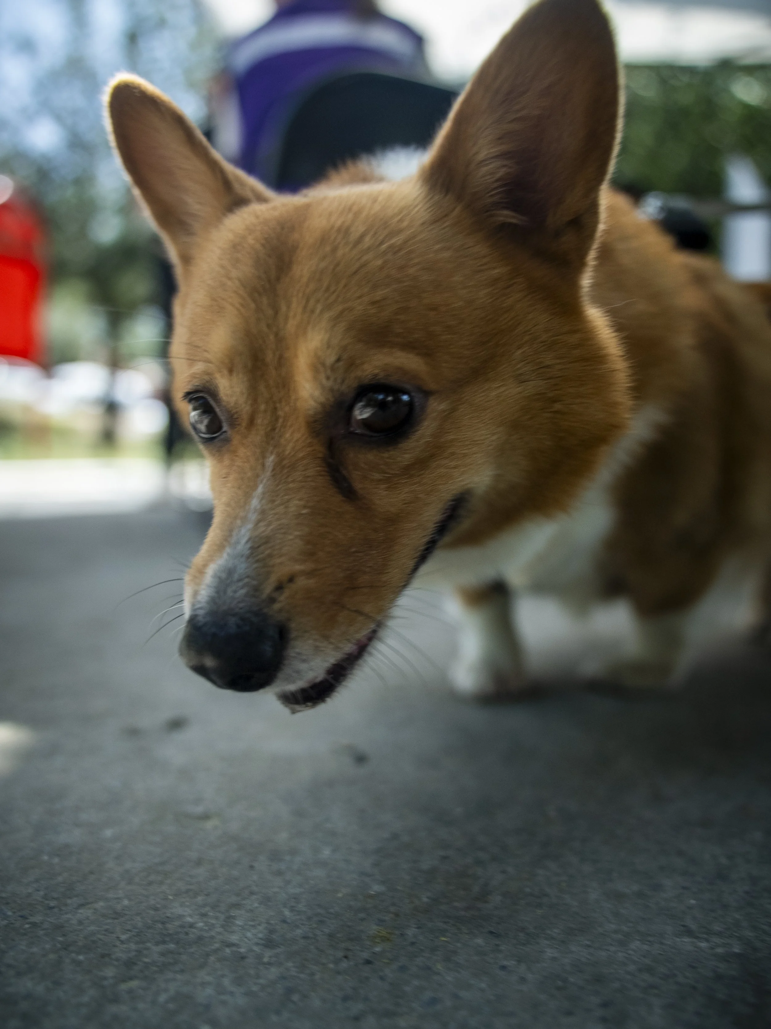 DSC05112.JPG