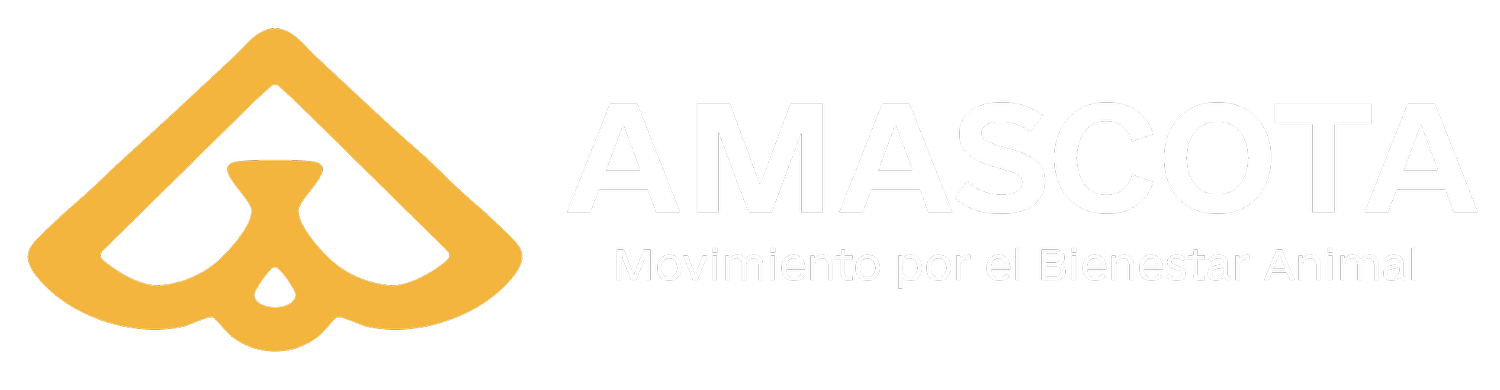 AMASCOTA A.C.
