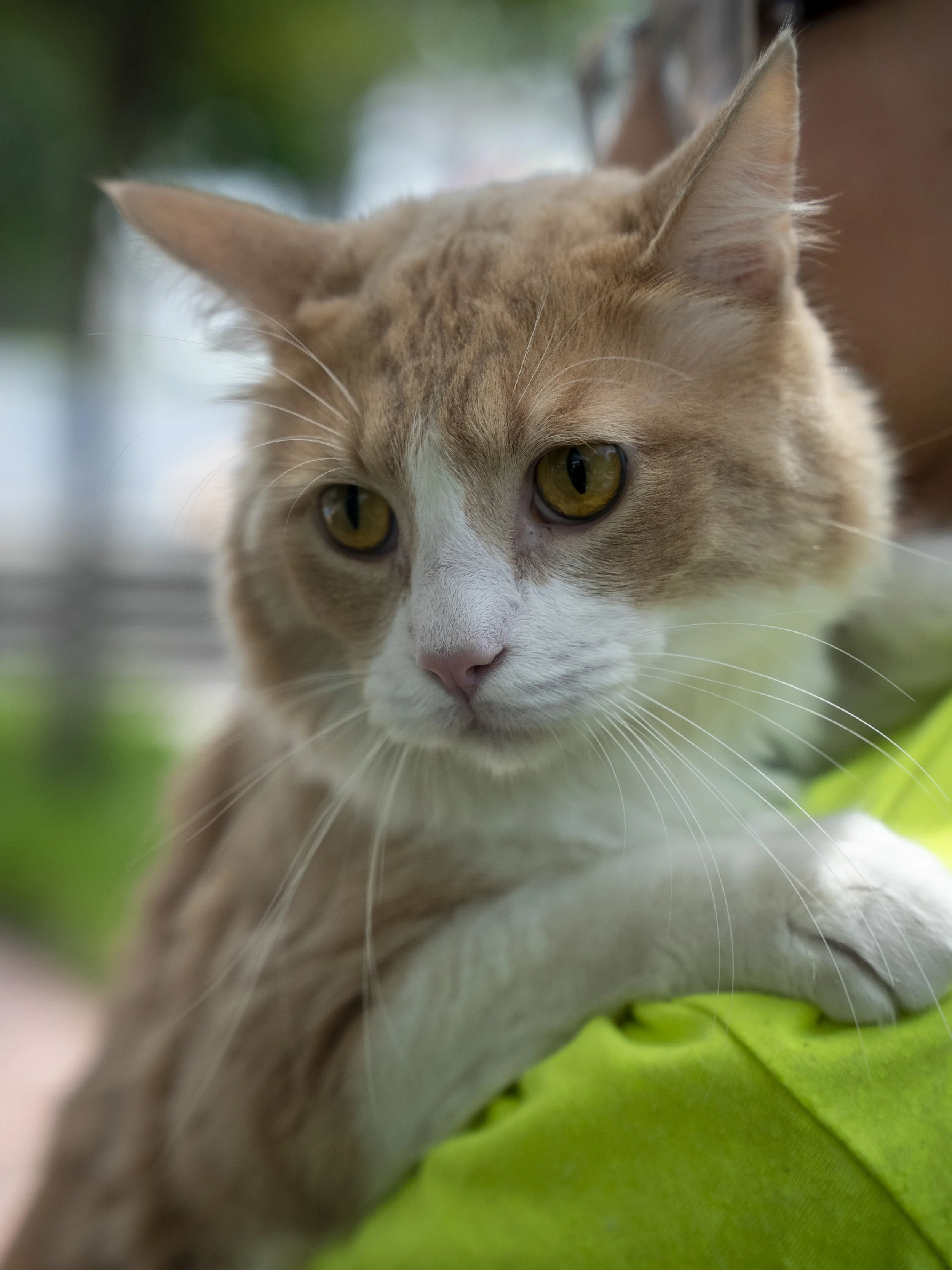 DSC04984.JPG
