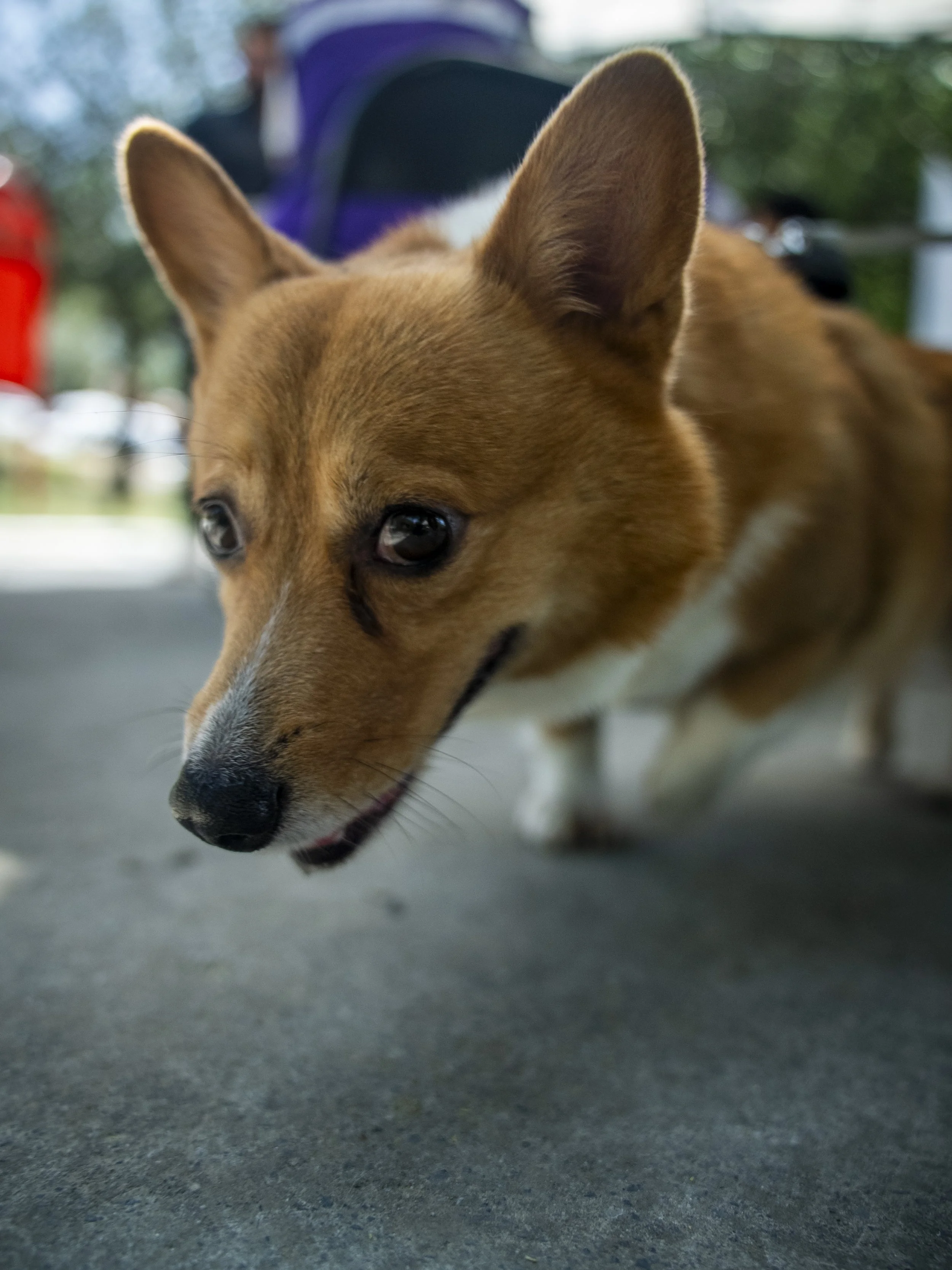 DSC05114.JPG
