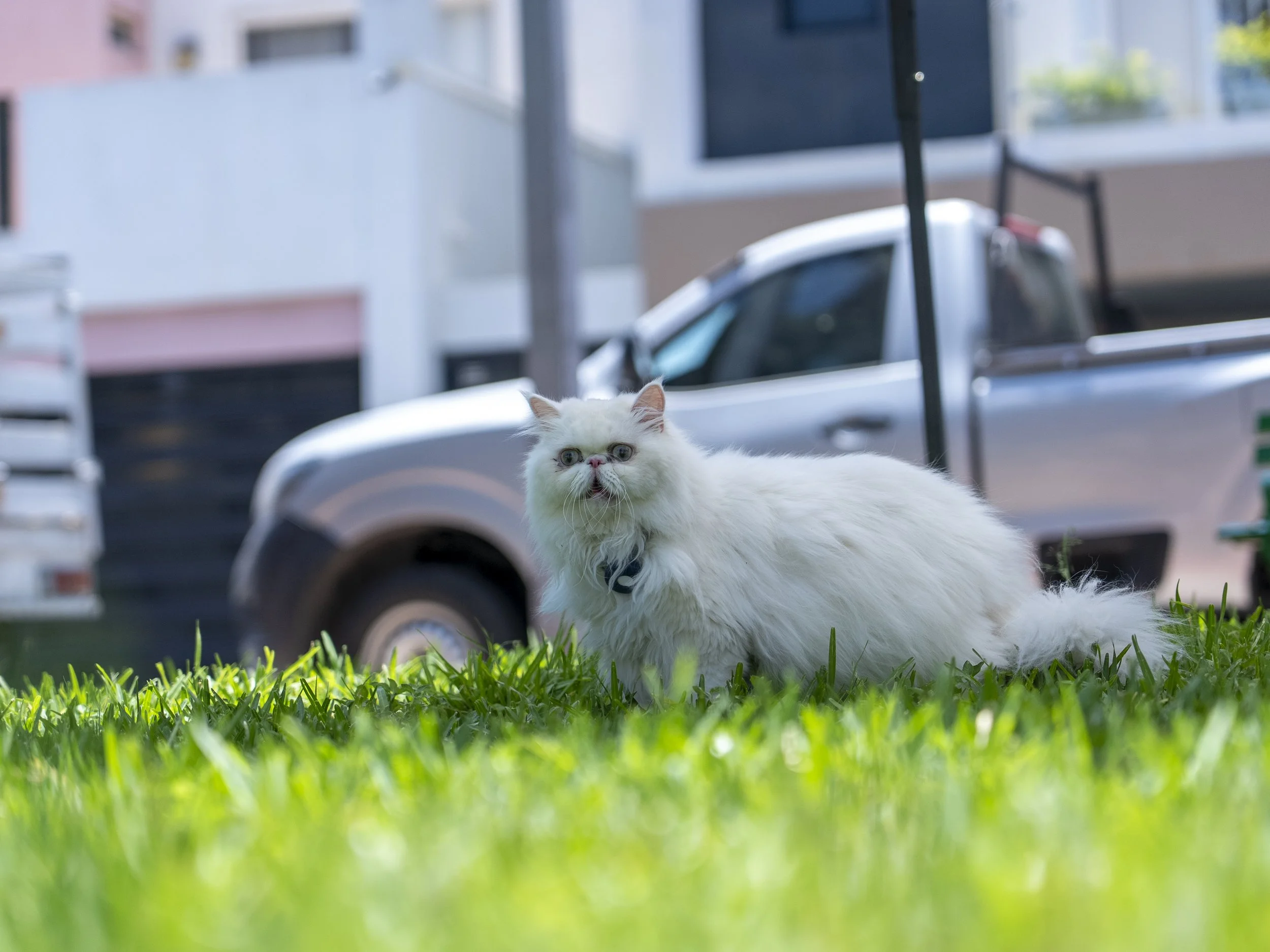 DSC07023.JPG