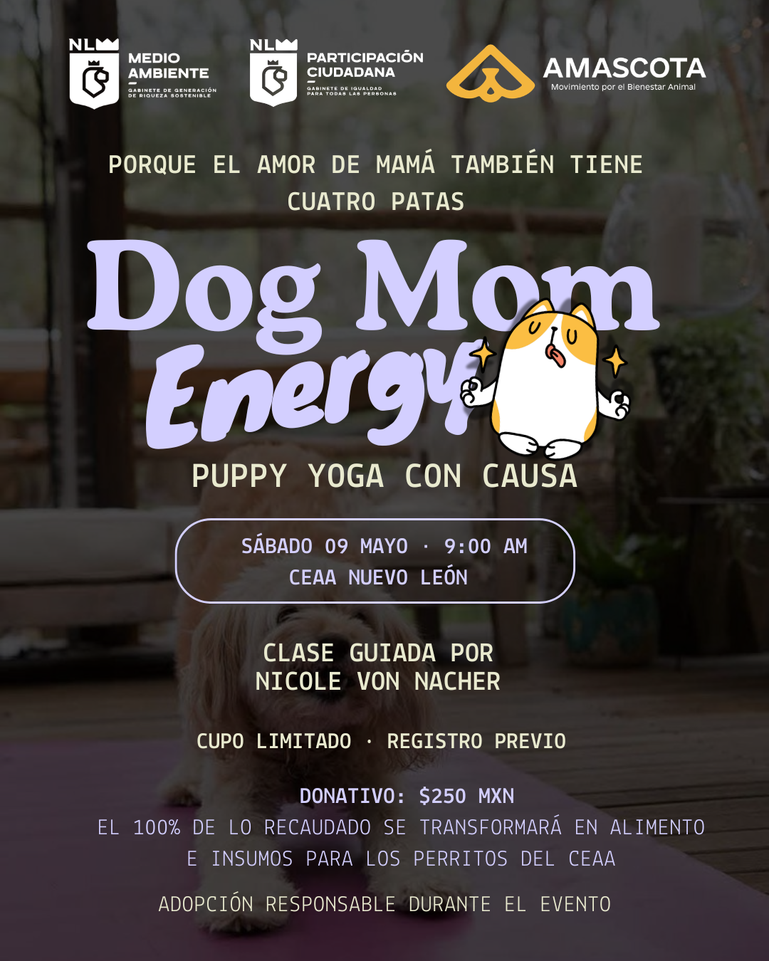 Dog Mom Energy | Evento con Causa