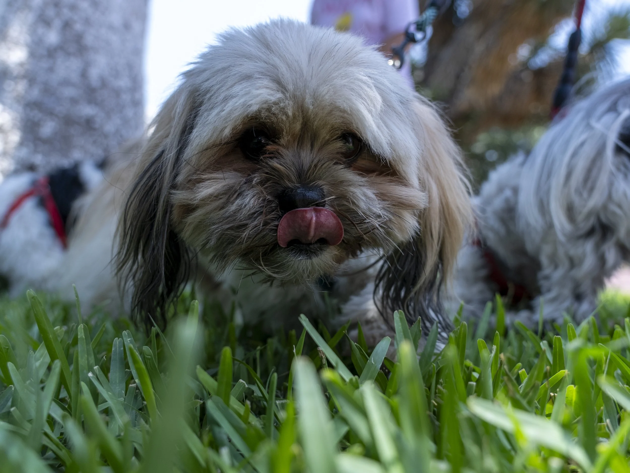 DSC06765.JPG