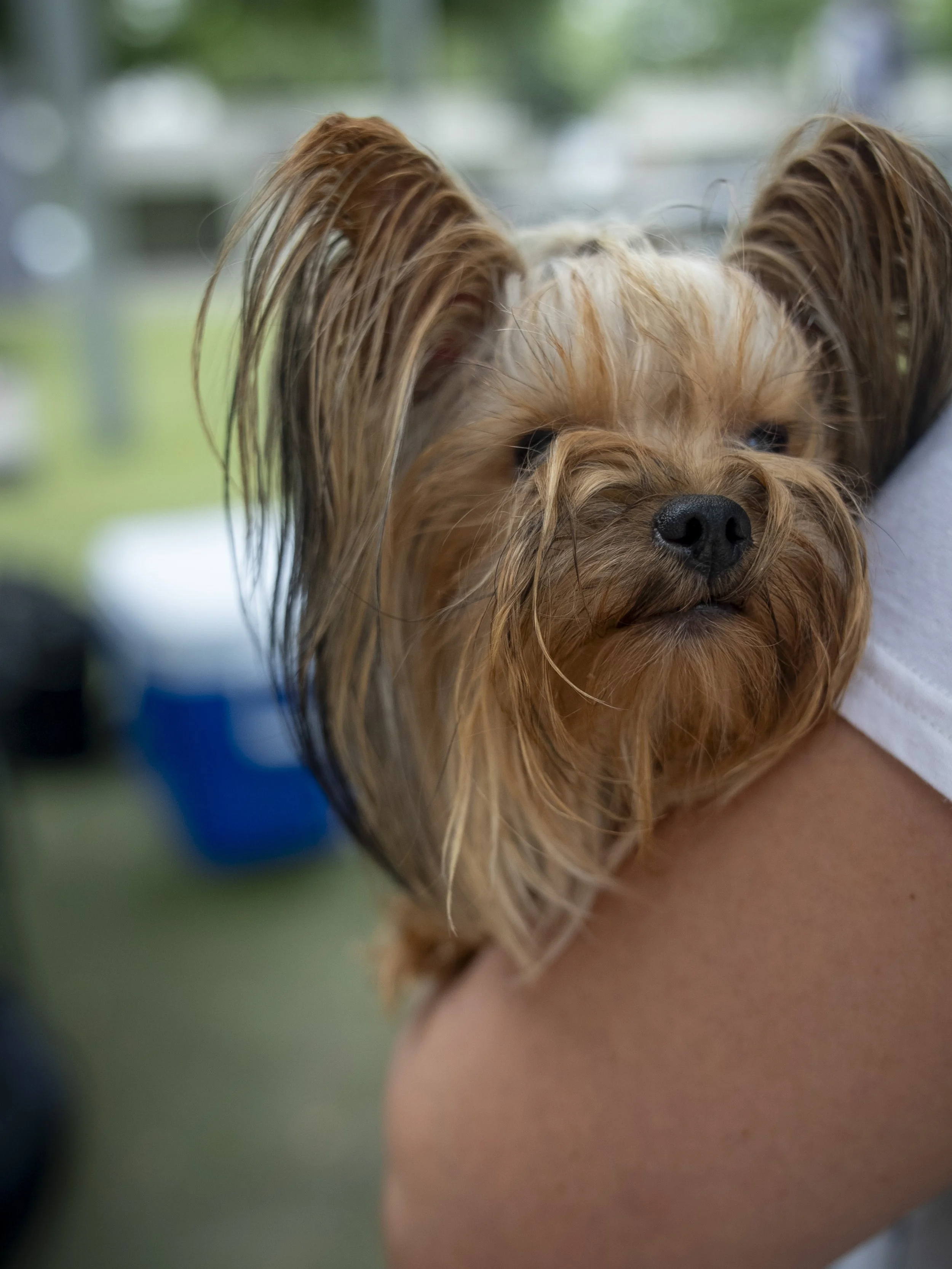 DSC04922.JPG
