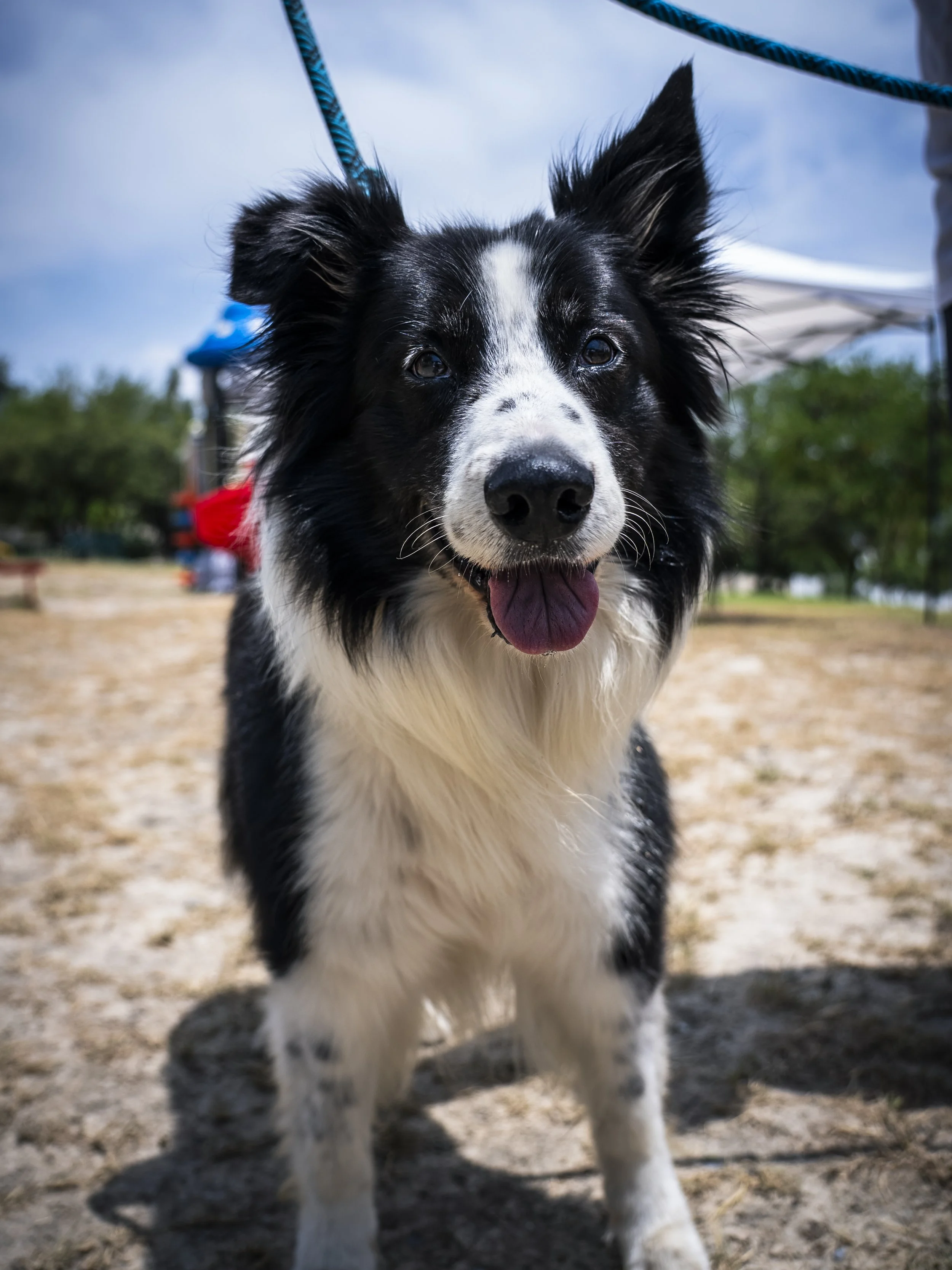 DSC06342.JPG