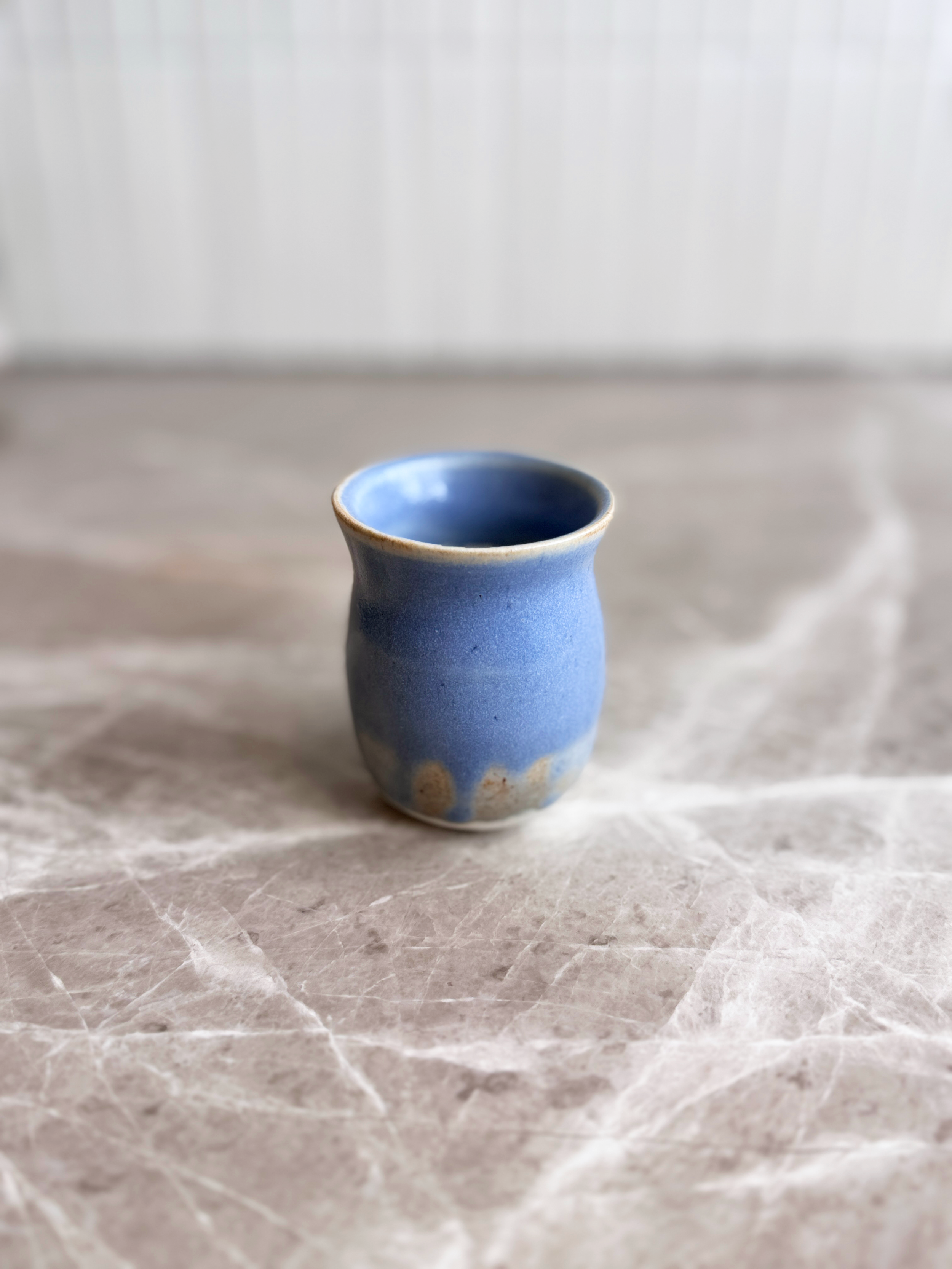 Blue_0009_Layer-10.png