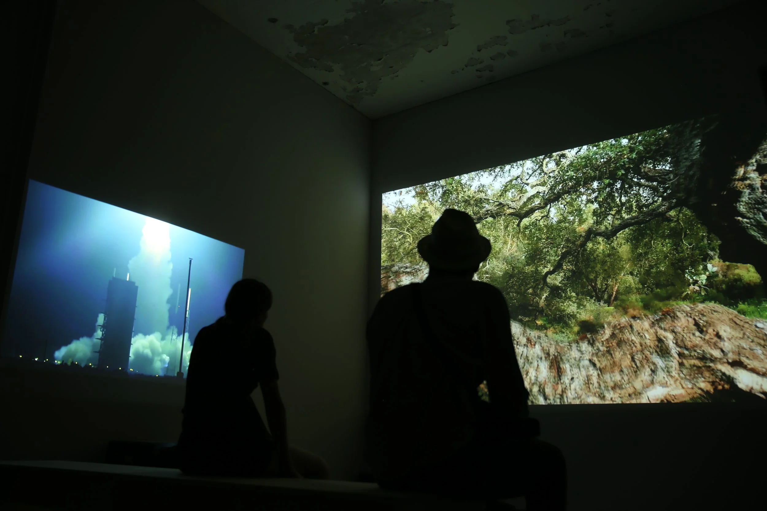 Two people sitting and looking at film projections displaying a rocket launch on one and a lush green landscape with trees on the other. SIGNAL FLOW.