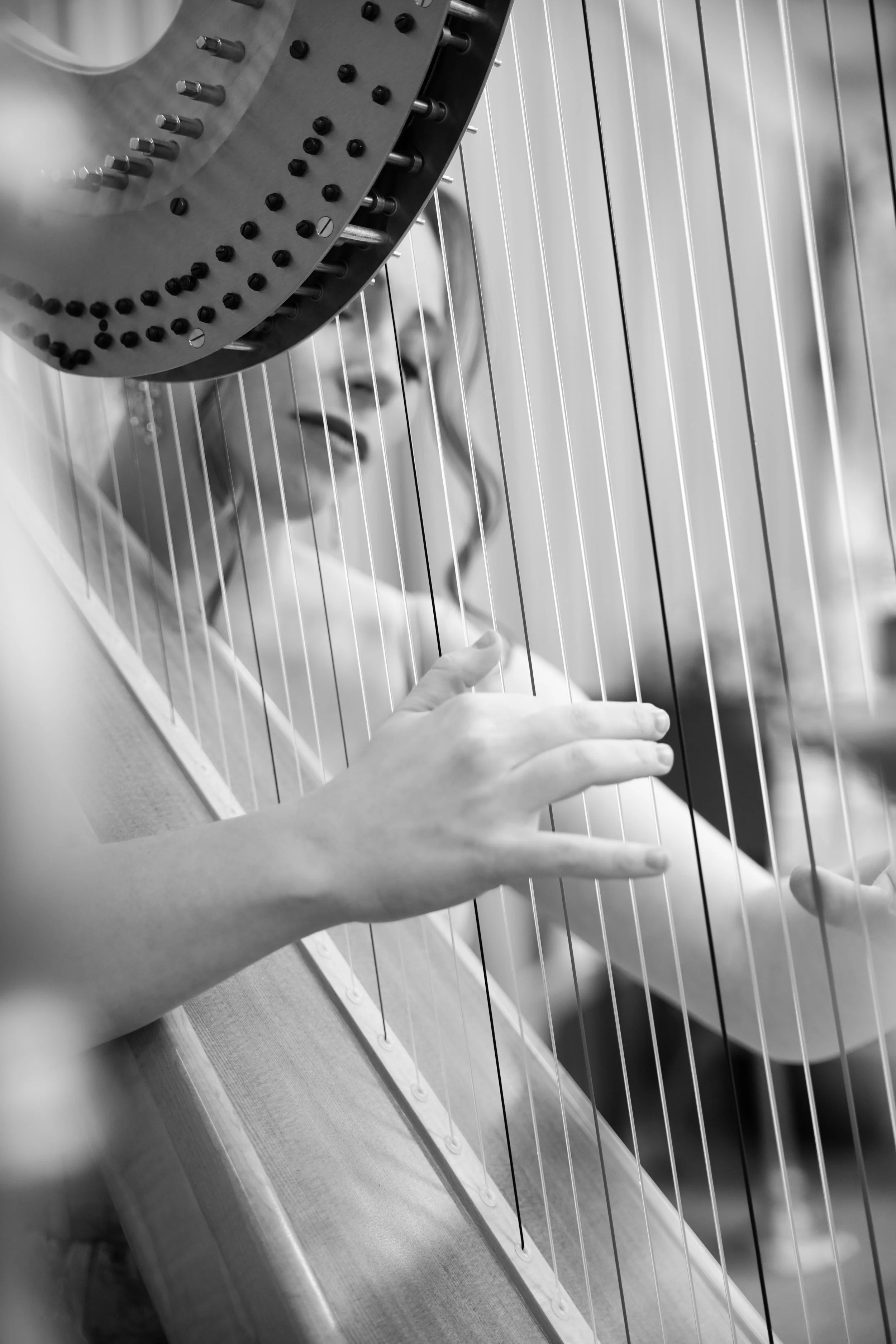 Close-up view of a person's hands playing a harp, with the harp's strings and tuning pegs visible in a black and white photograph.