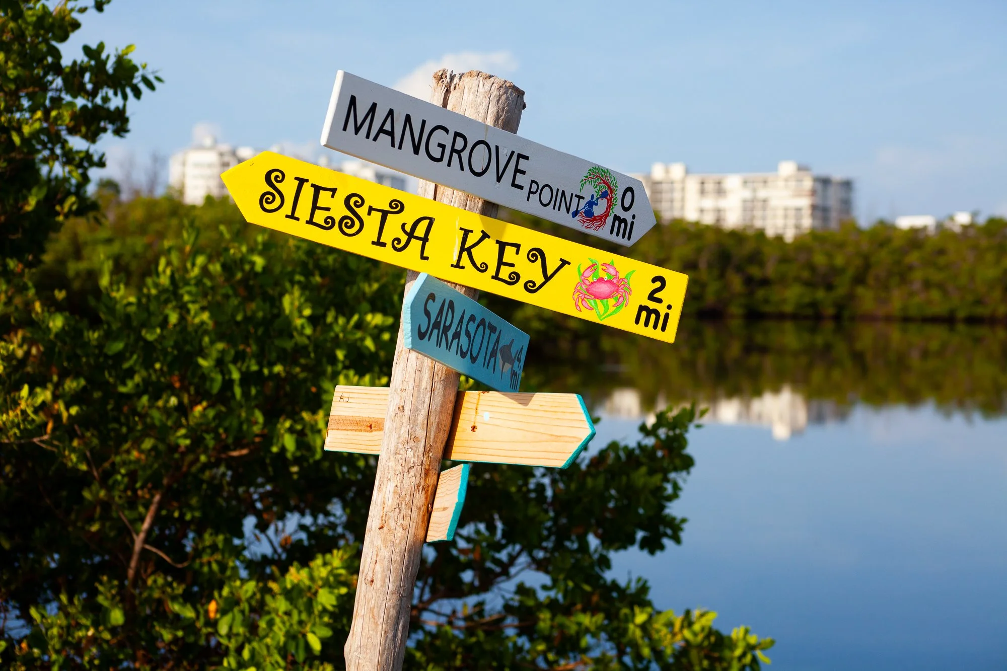 Signpost with four colorful directional signs pointing to Mangrove Point, Siesta Key, Sarasota, and an empty sign, with a natural background of water, greenery, and buildings in the distance.