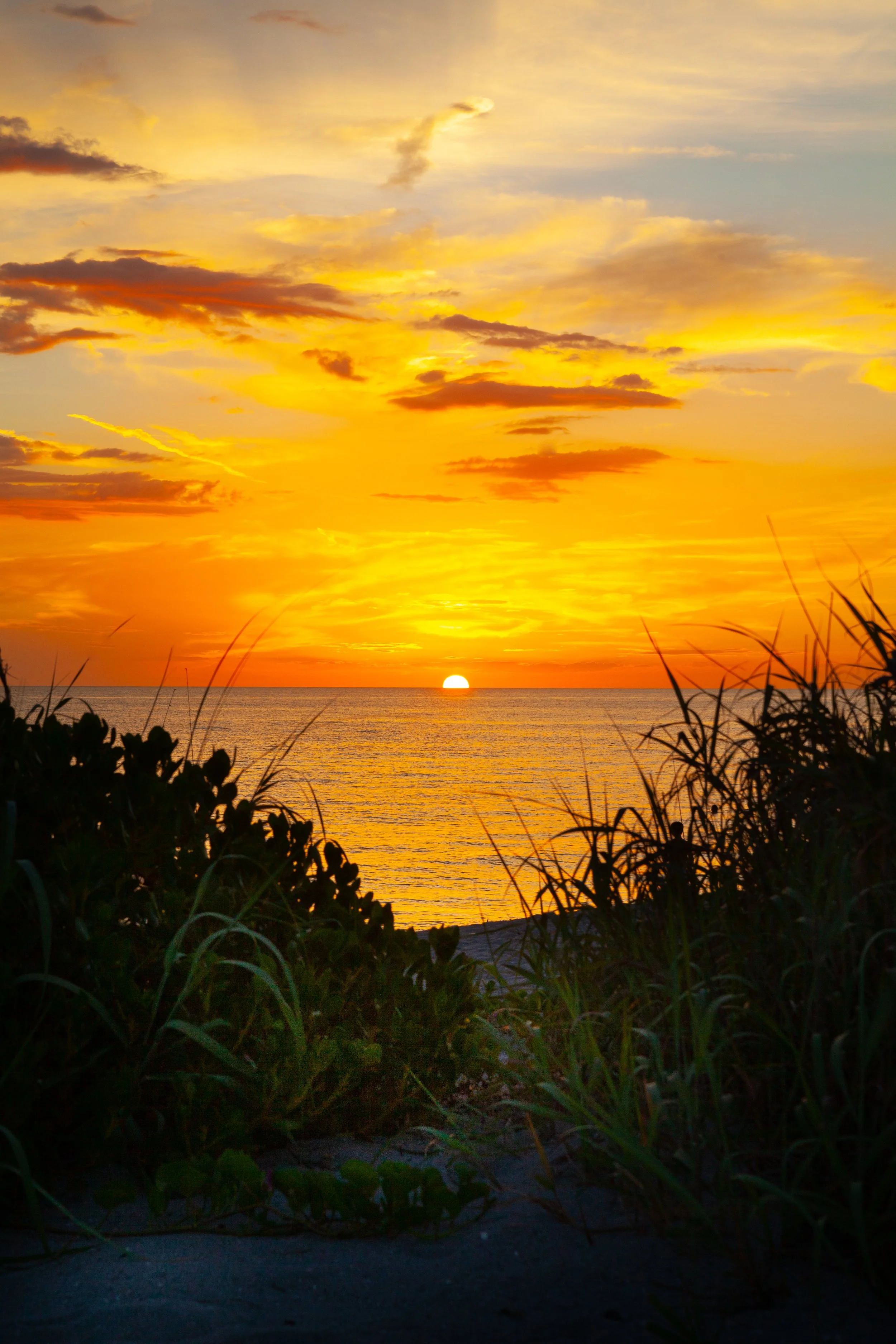 Sunset over the ocean with orange and yellow sky, clouds, silhouetted bushes in foreground.
