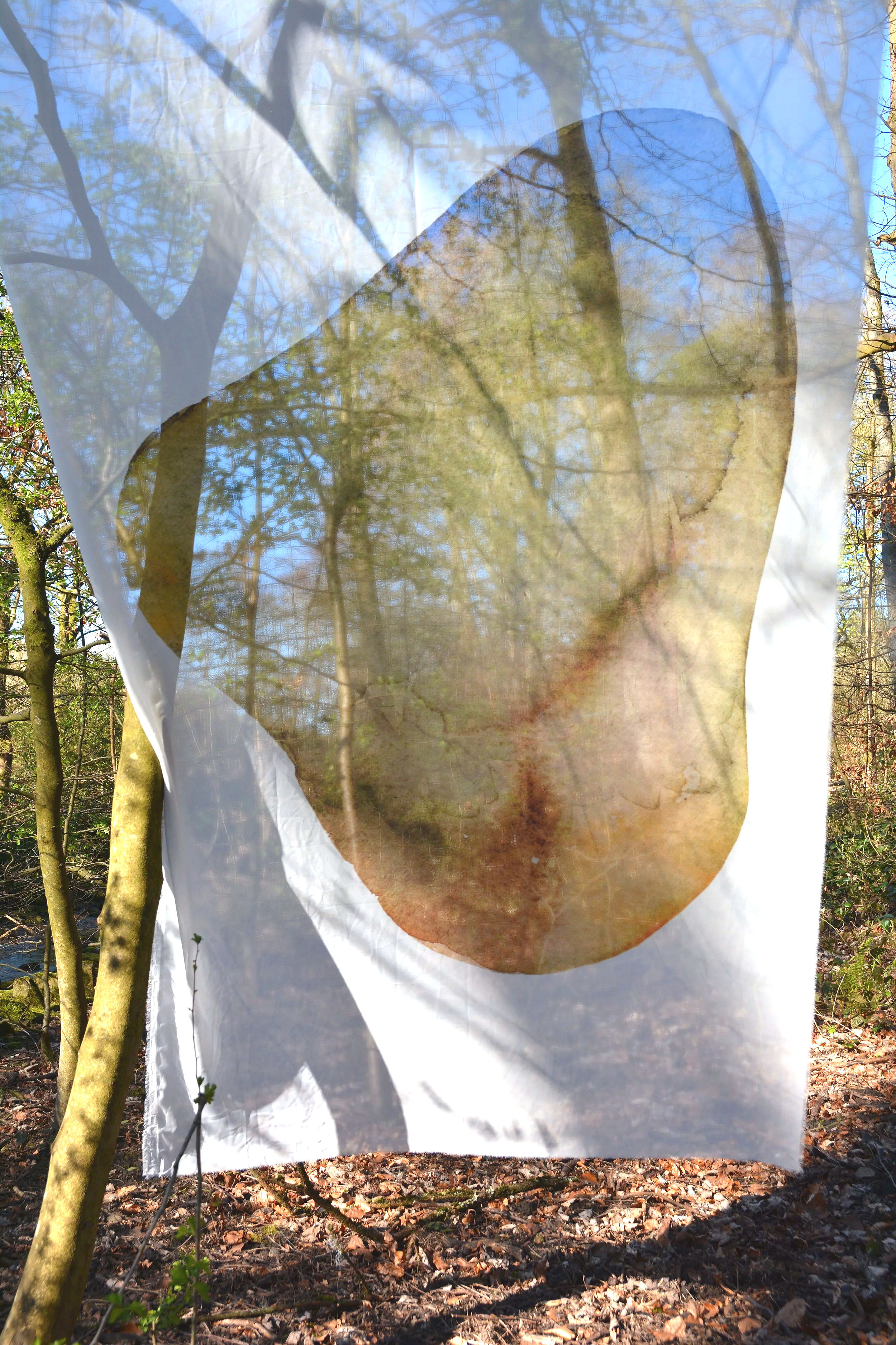 Organic 2  
Textile print from original watercolour
H 190 cm × W 110 cm
2025

A large textile piece exploring organic form through fluid watercolour marks and soft, natural transitions.