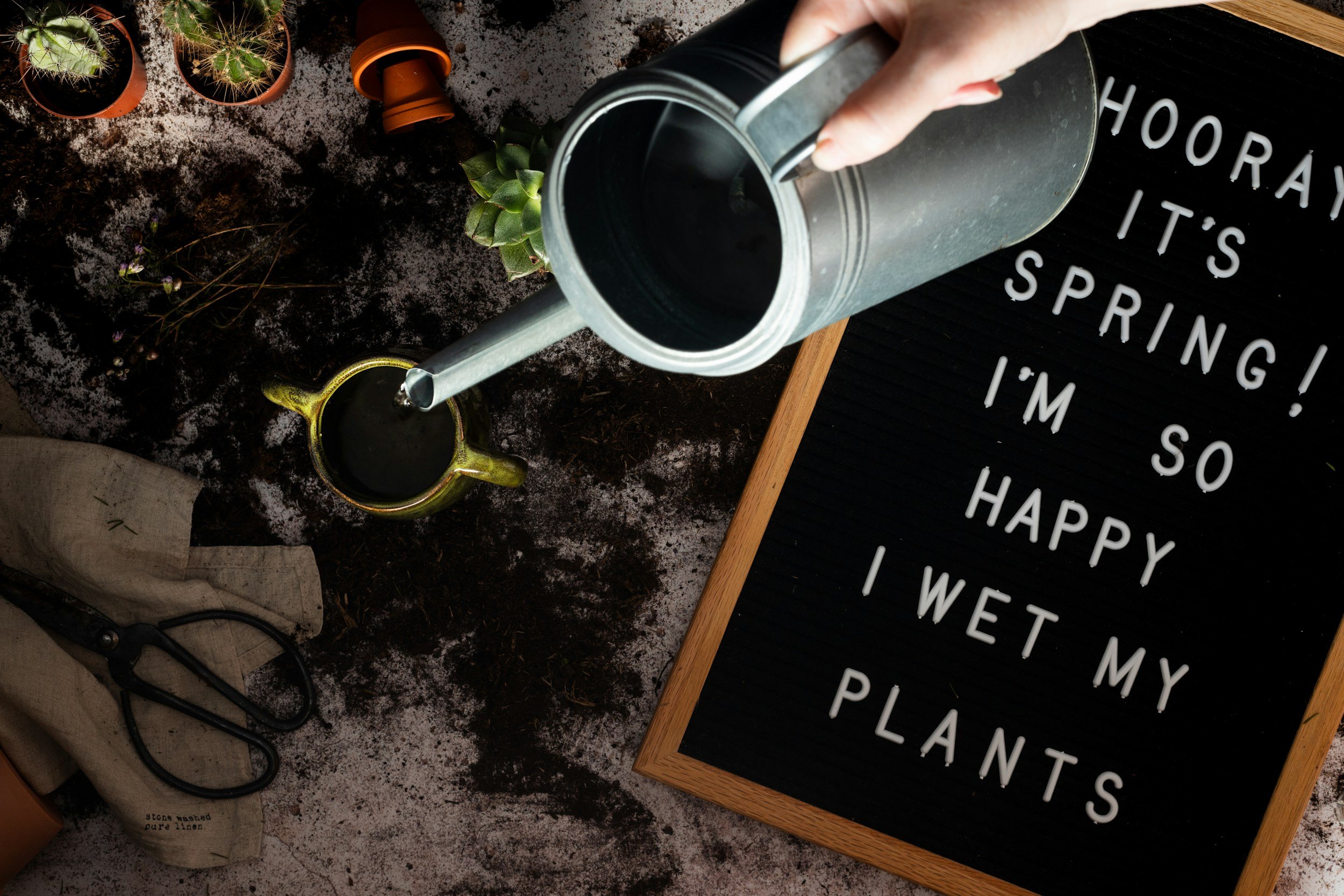 A Season of Growth: Looking Ahead to an Even Bigger Garden