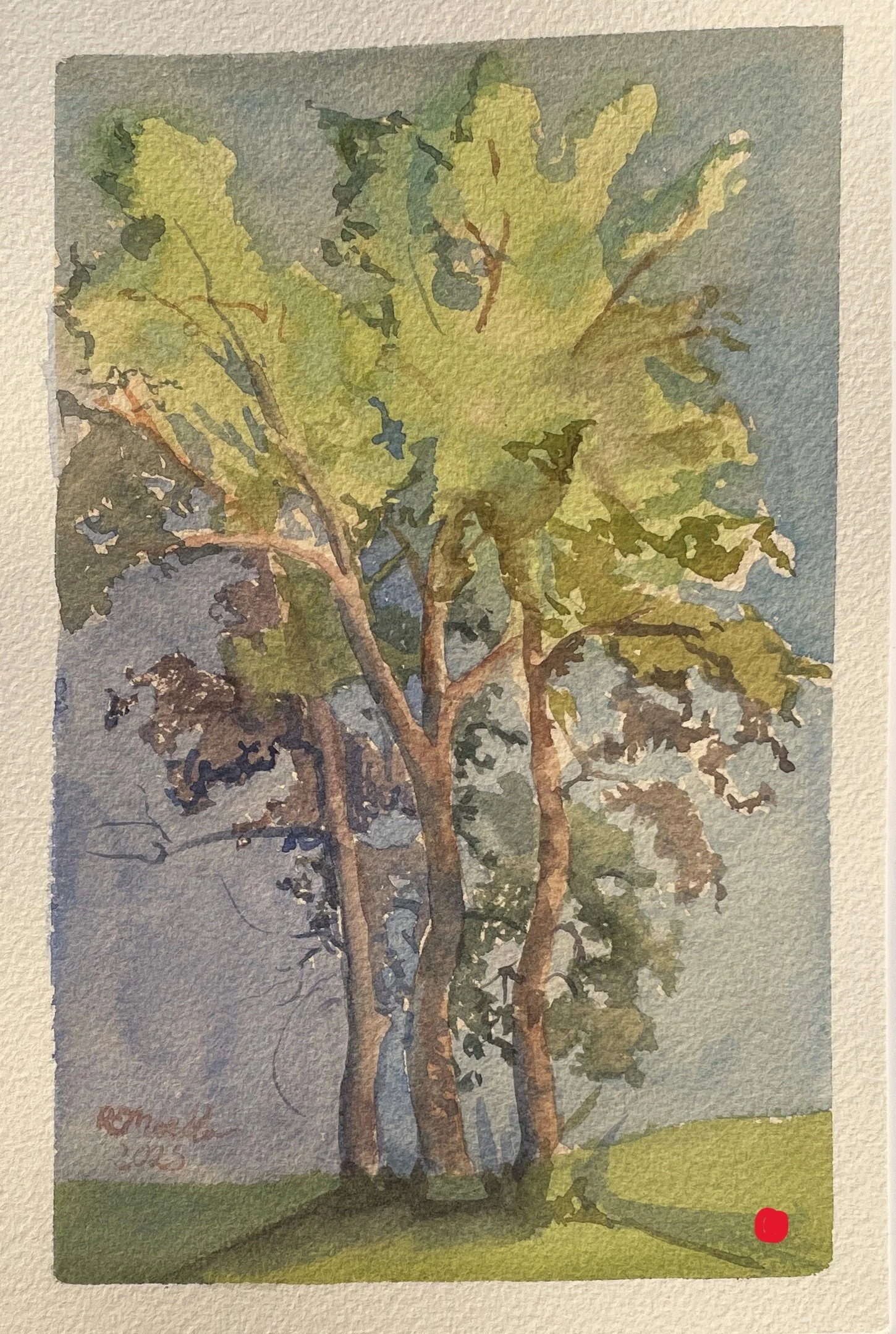 "Ghibli Tree,"
5x8.5,
SOLD