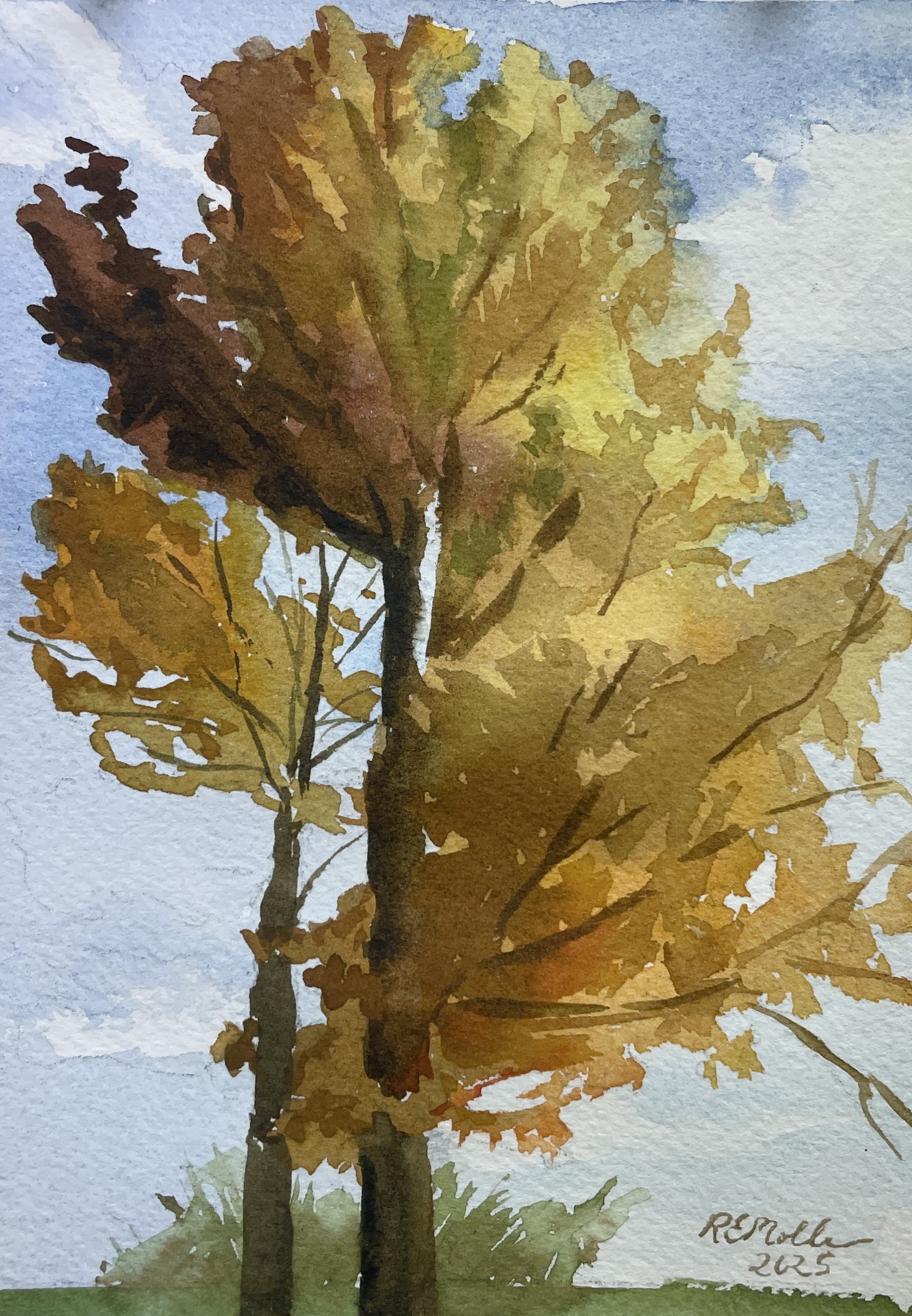"Golden Tree," 5x8, $40